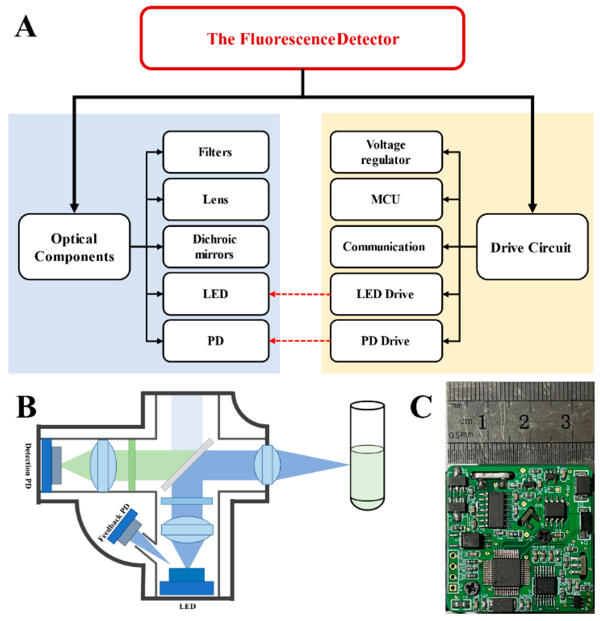 Biosensors 12 00764 g001