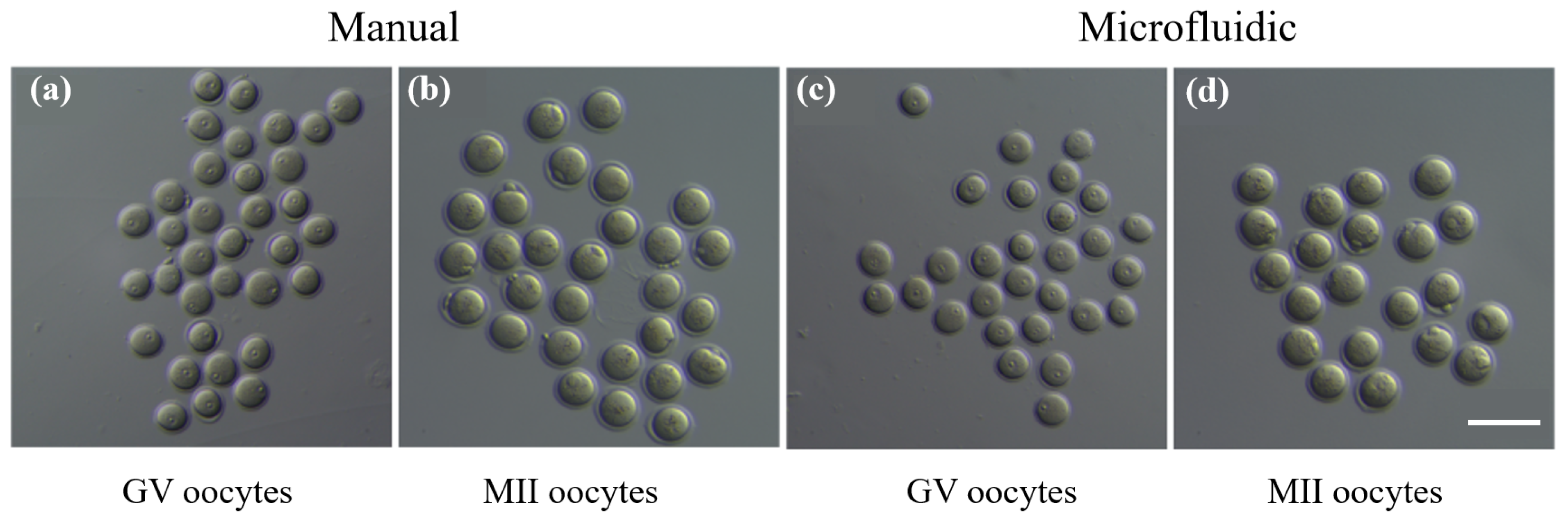 Biosensors 12 00766 g009 Biosensors 12 00766 g009