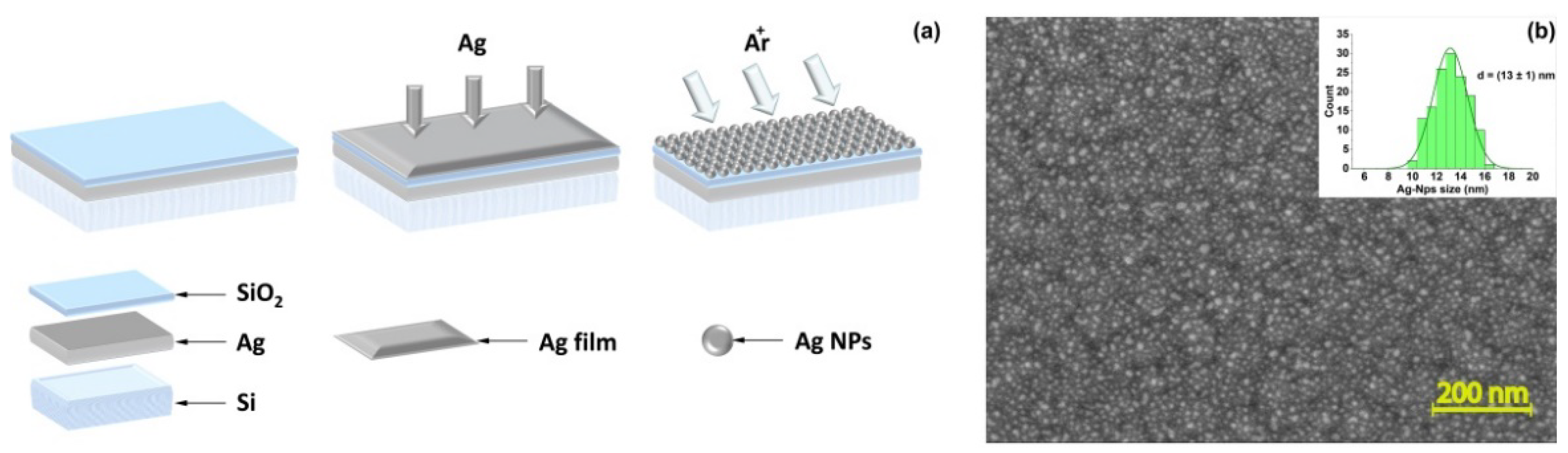 Biosensors 12 00768 g003 Biosensors 12 00768 g003