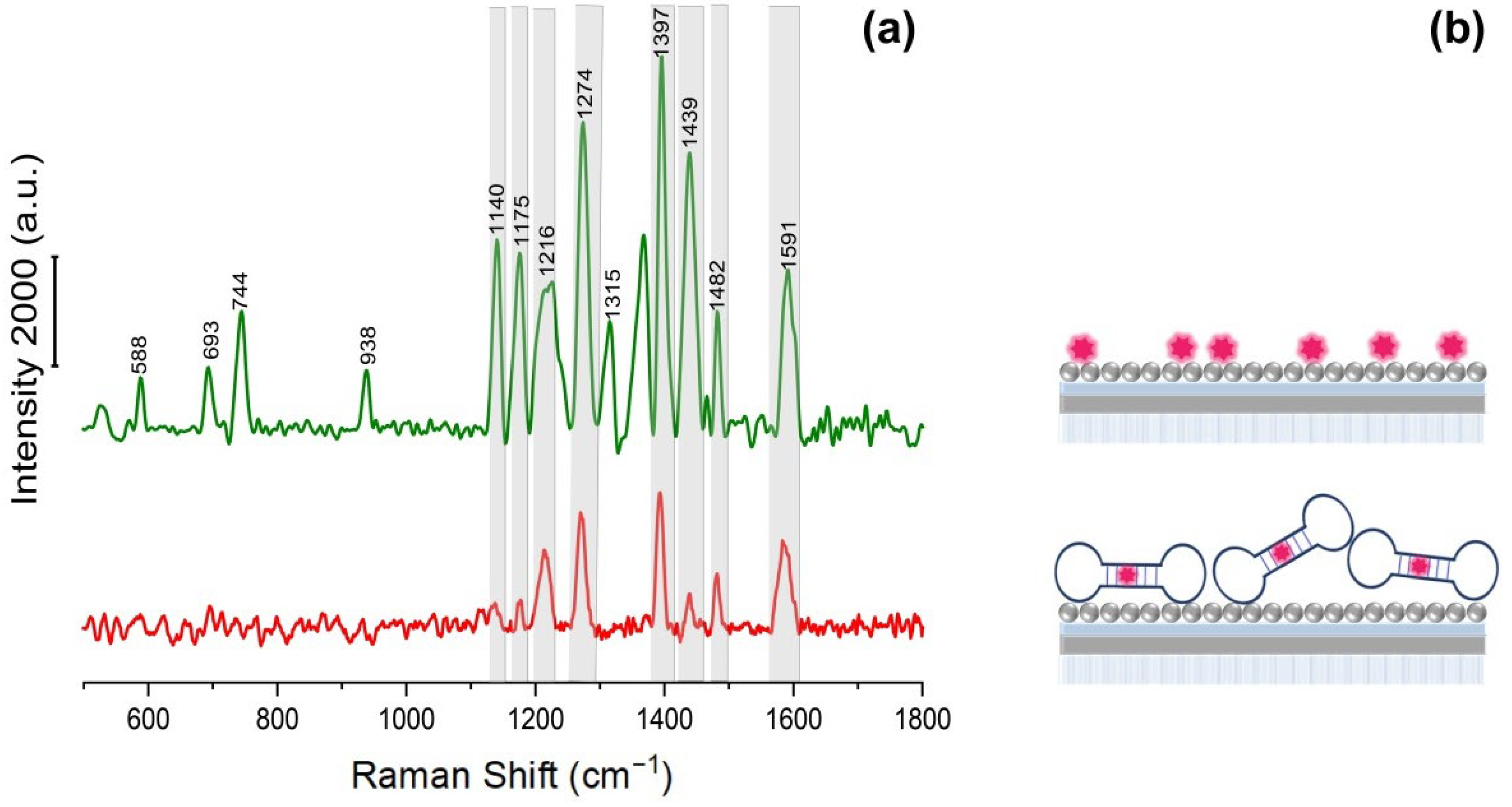 Biosensors 12 00768 g004 Biosensors 12 00768 g004