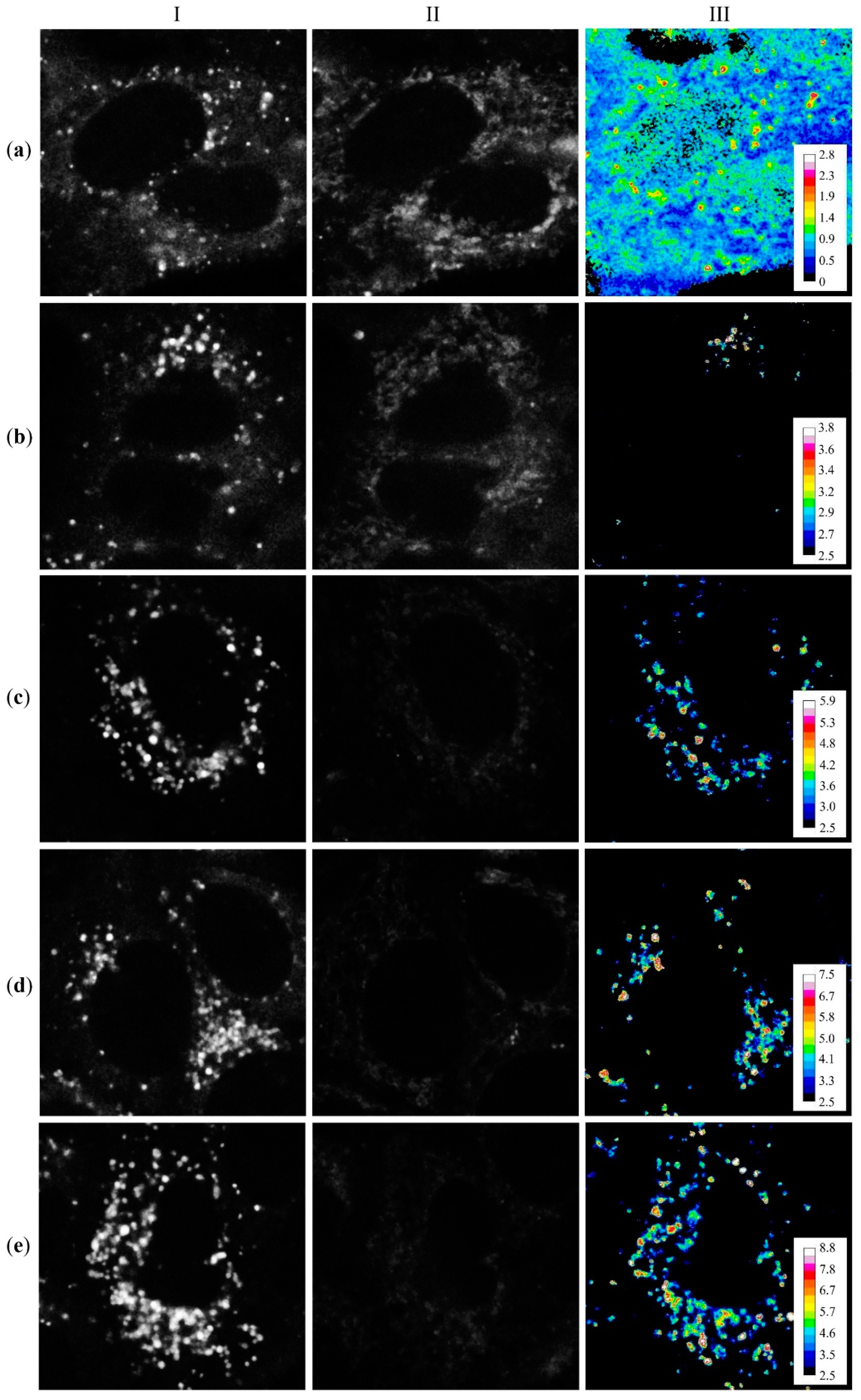 Biosensors 12 00770 g007