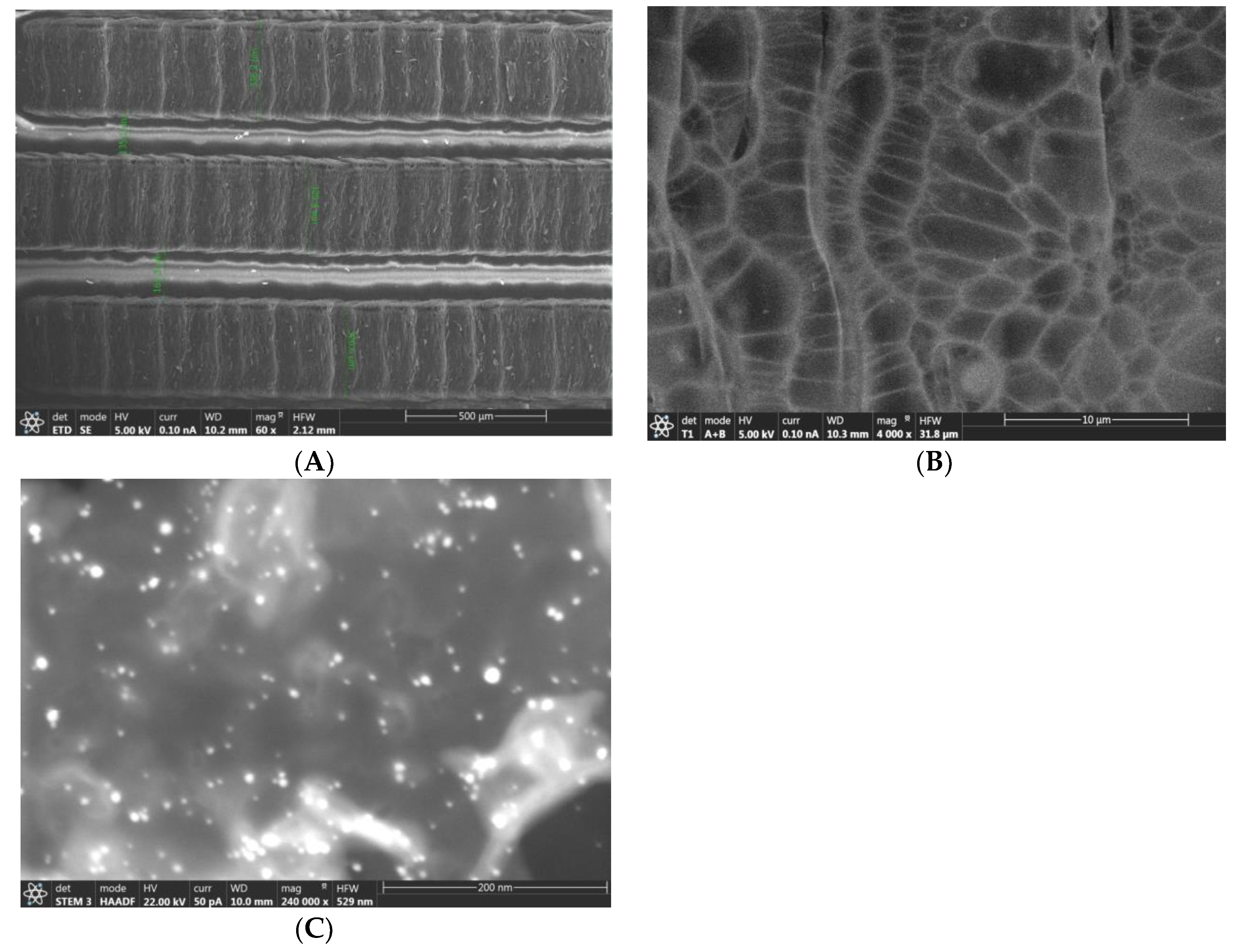 Biosensors 12 00771 g002