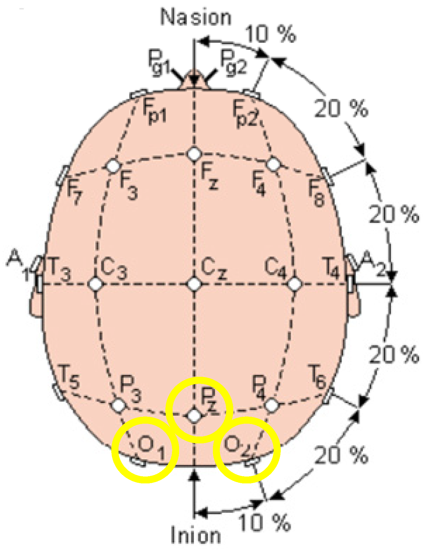 Biosensors 12 00772 g009