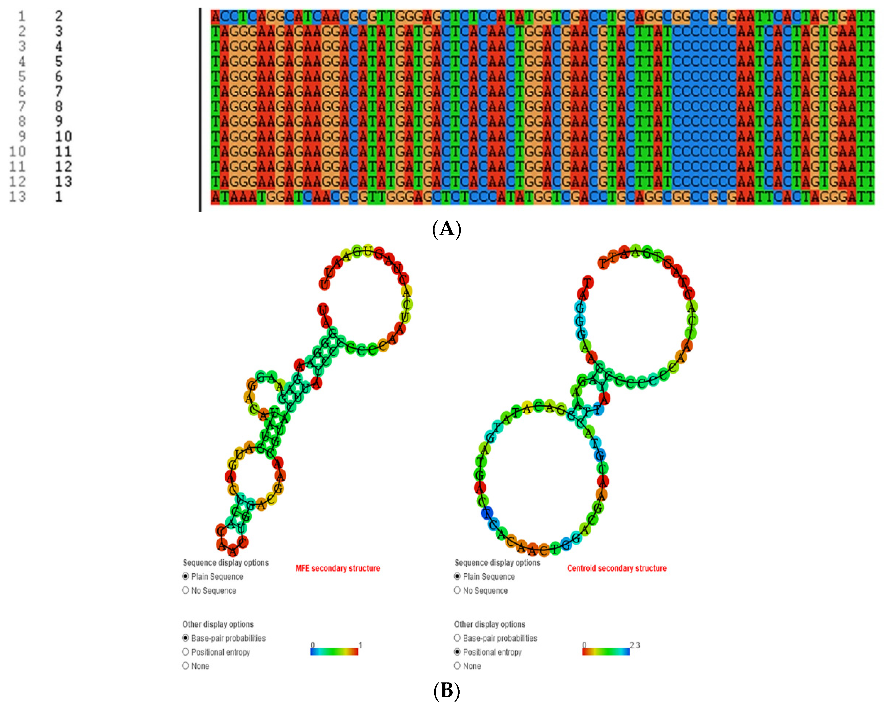 Biosensors 12 00773 sch001 Biosensors 12 00773 sch001