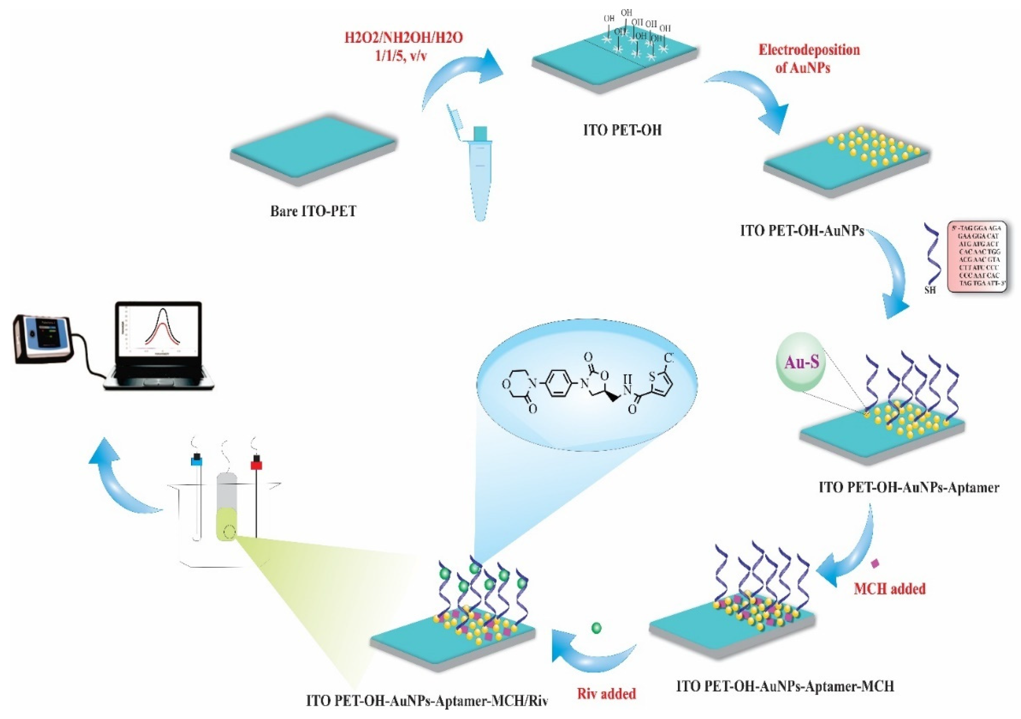 Biosensors 12 00773 sch002 Biosensors 12 00773 sch002