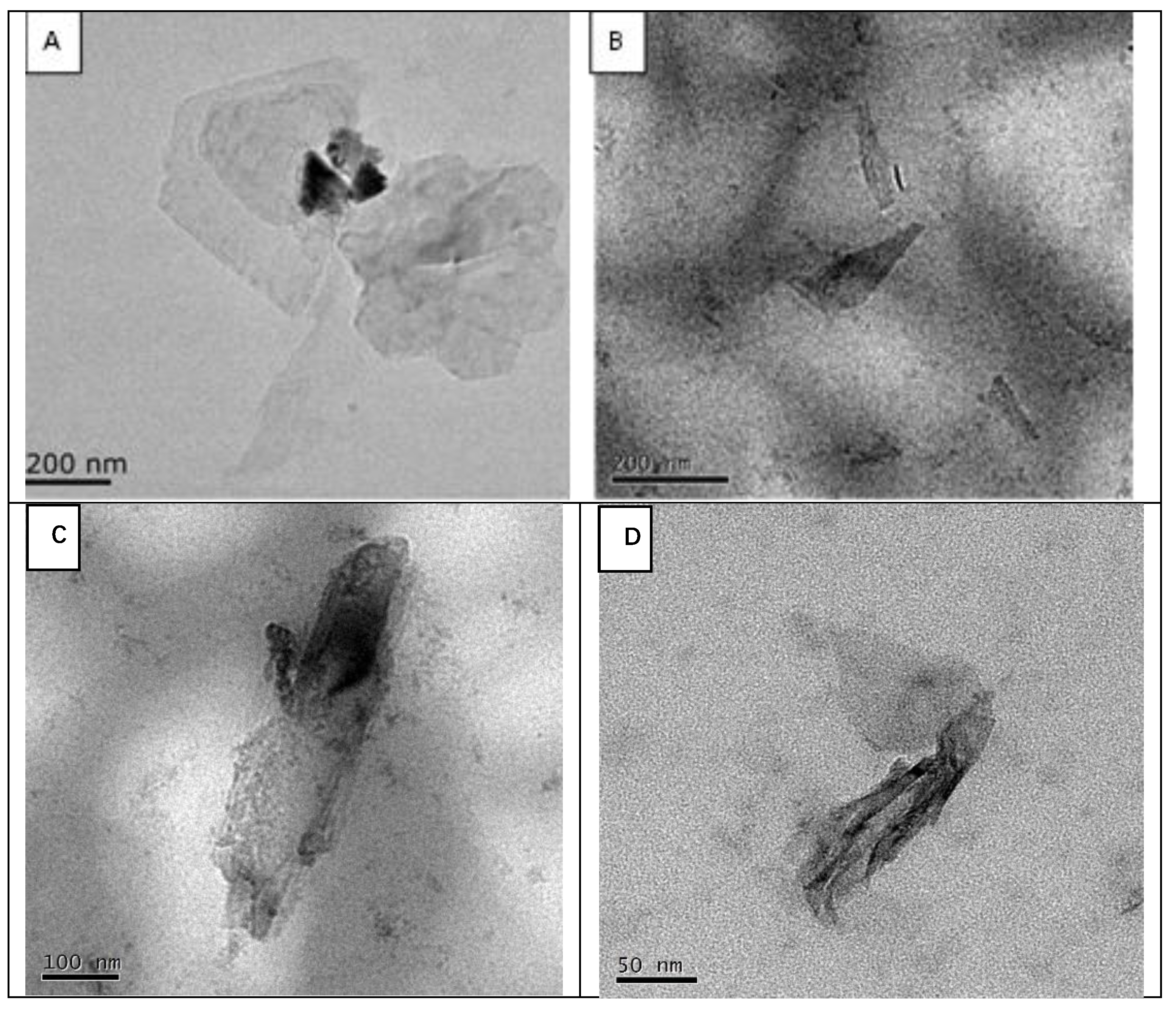 Biosensors 12 00775 g001 Biosensors 12 00775 g001