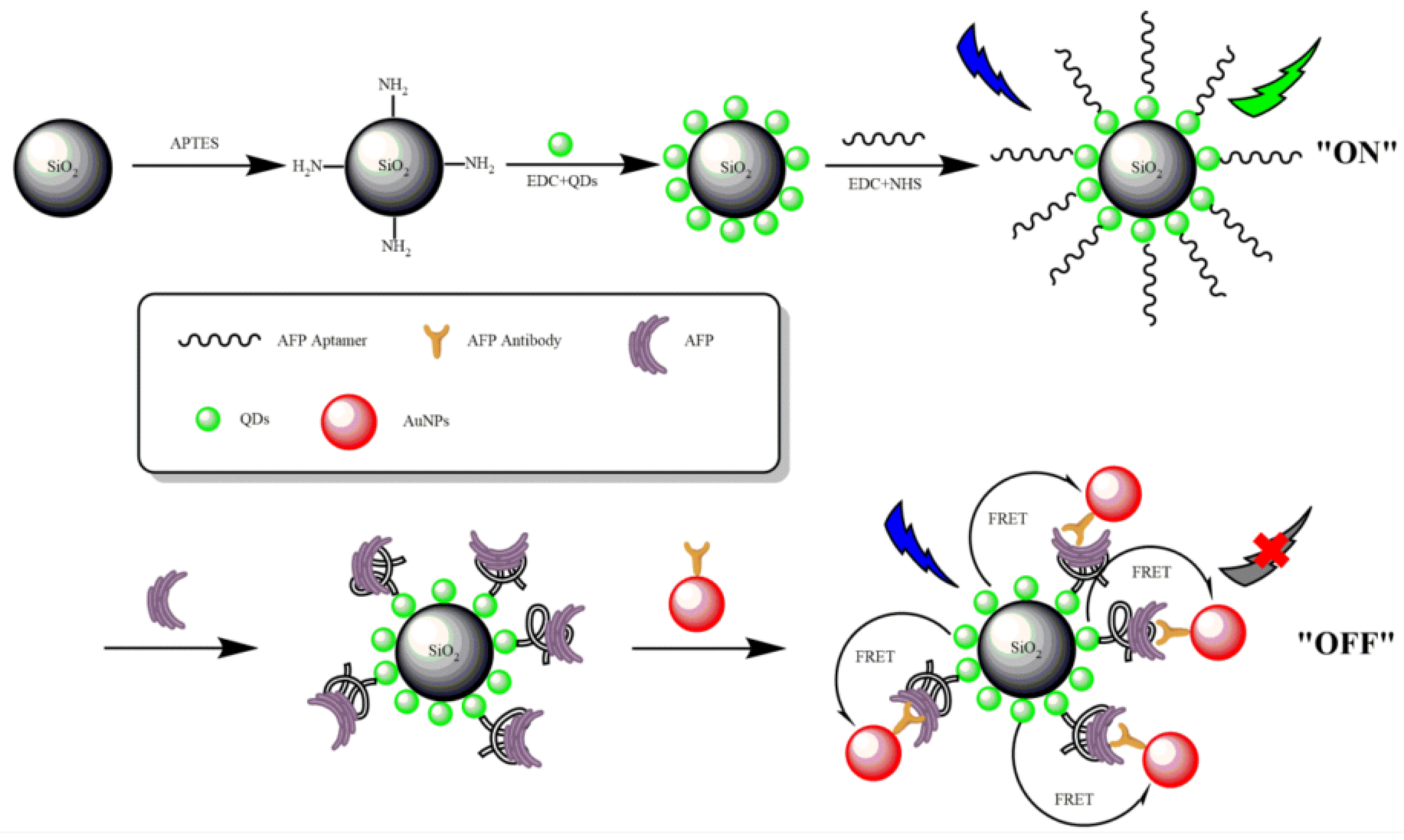 Biosensors 12 00780 g004 Biosensors 12 00780 g004