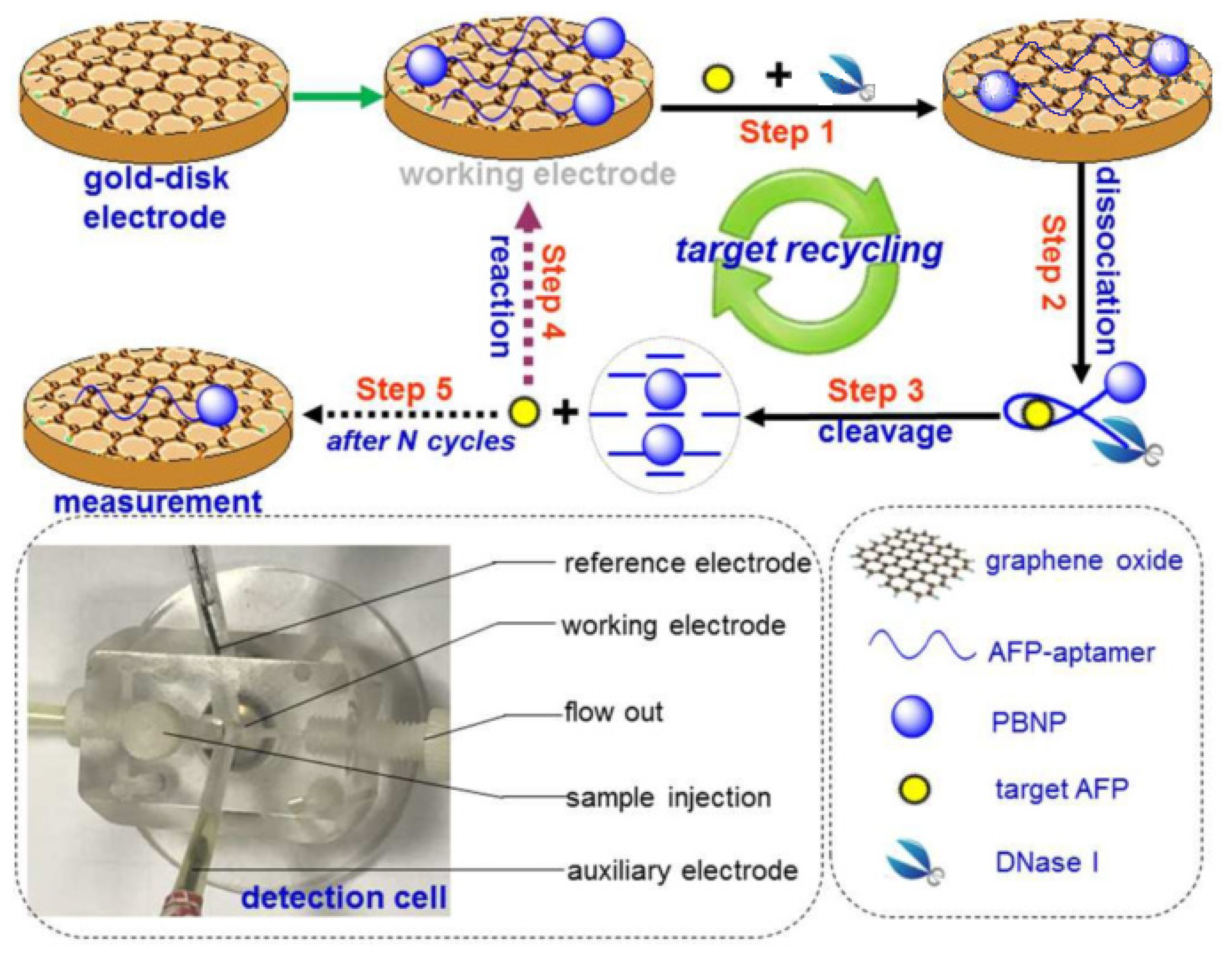 Biosensors 12 00780 g005 Biosensors 12 00780 g005
