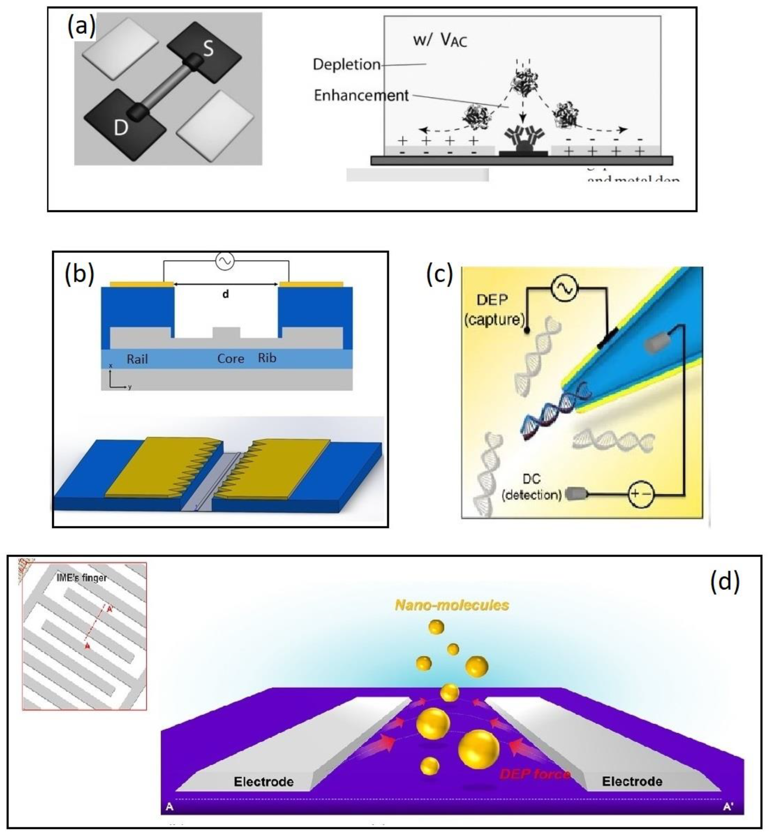 Biosensors 12 00784 g004 Biosensors 12 00784 g004