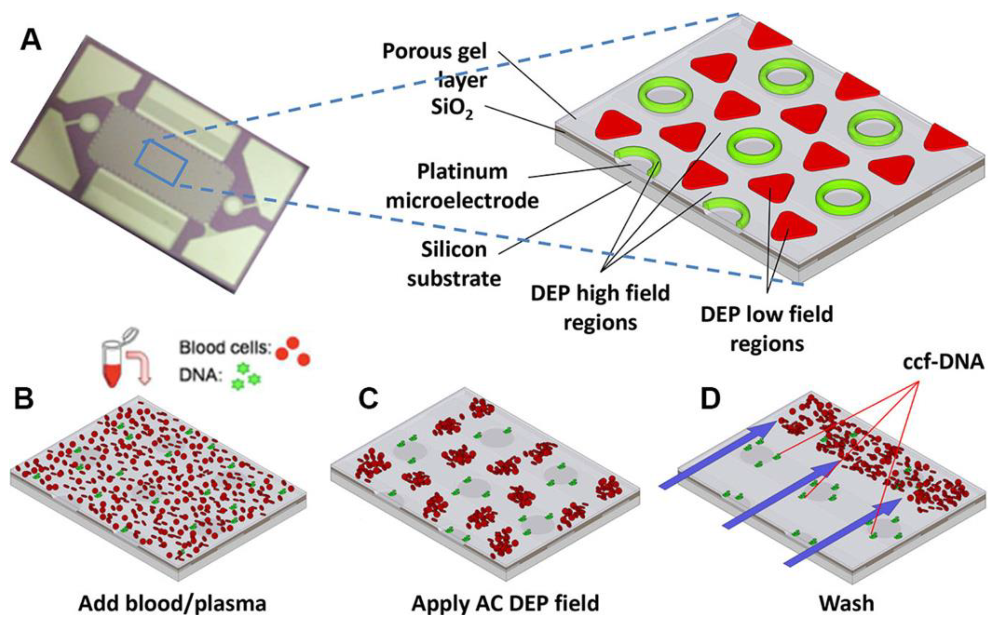 Biosensors 12 00784 g007 Biosensors 12 00784 g007