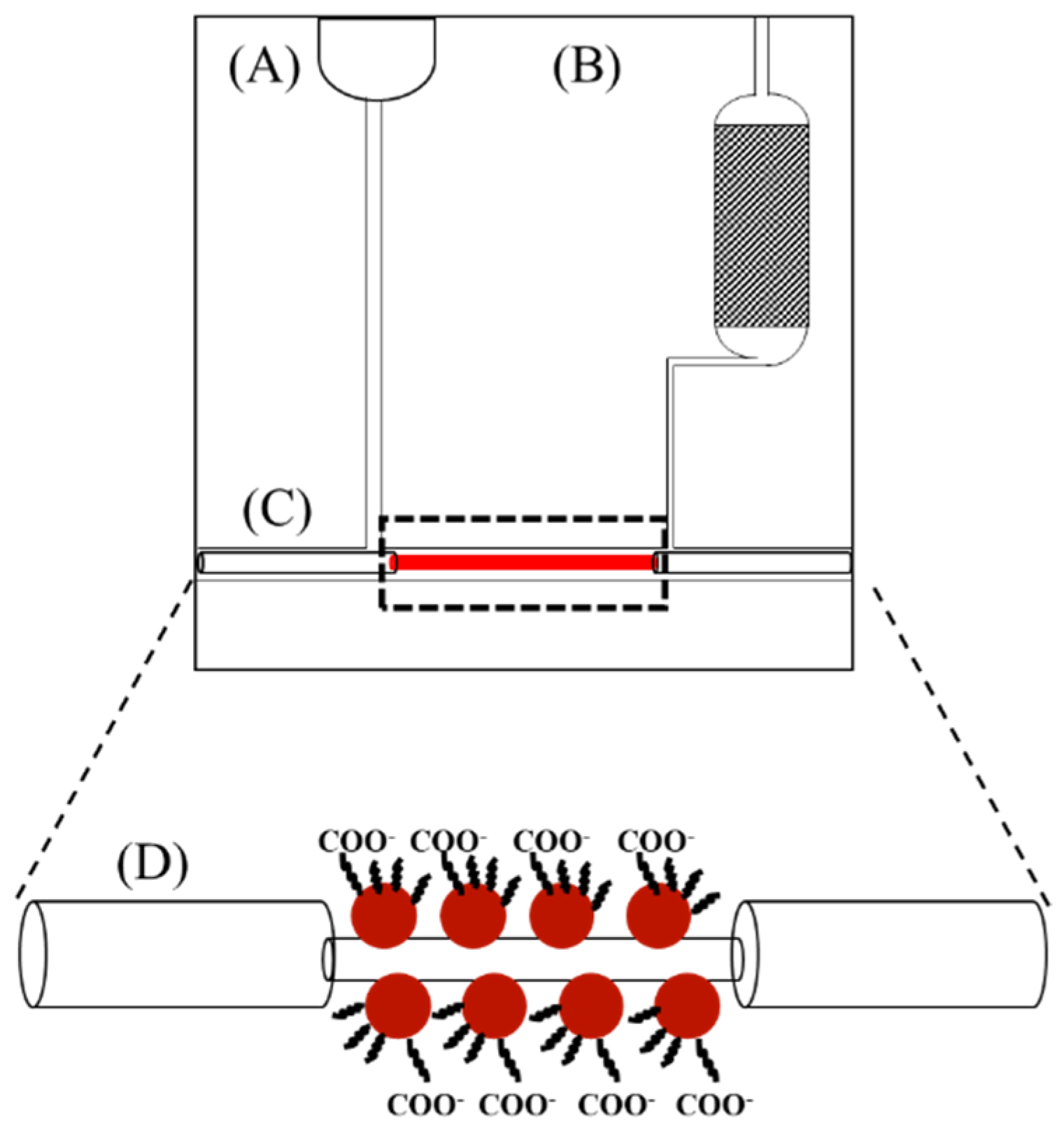 Biosensors 12 00785 g003
