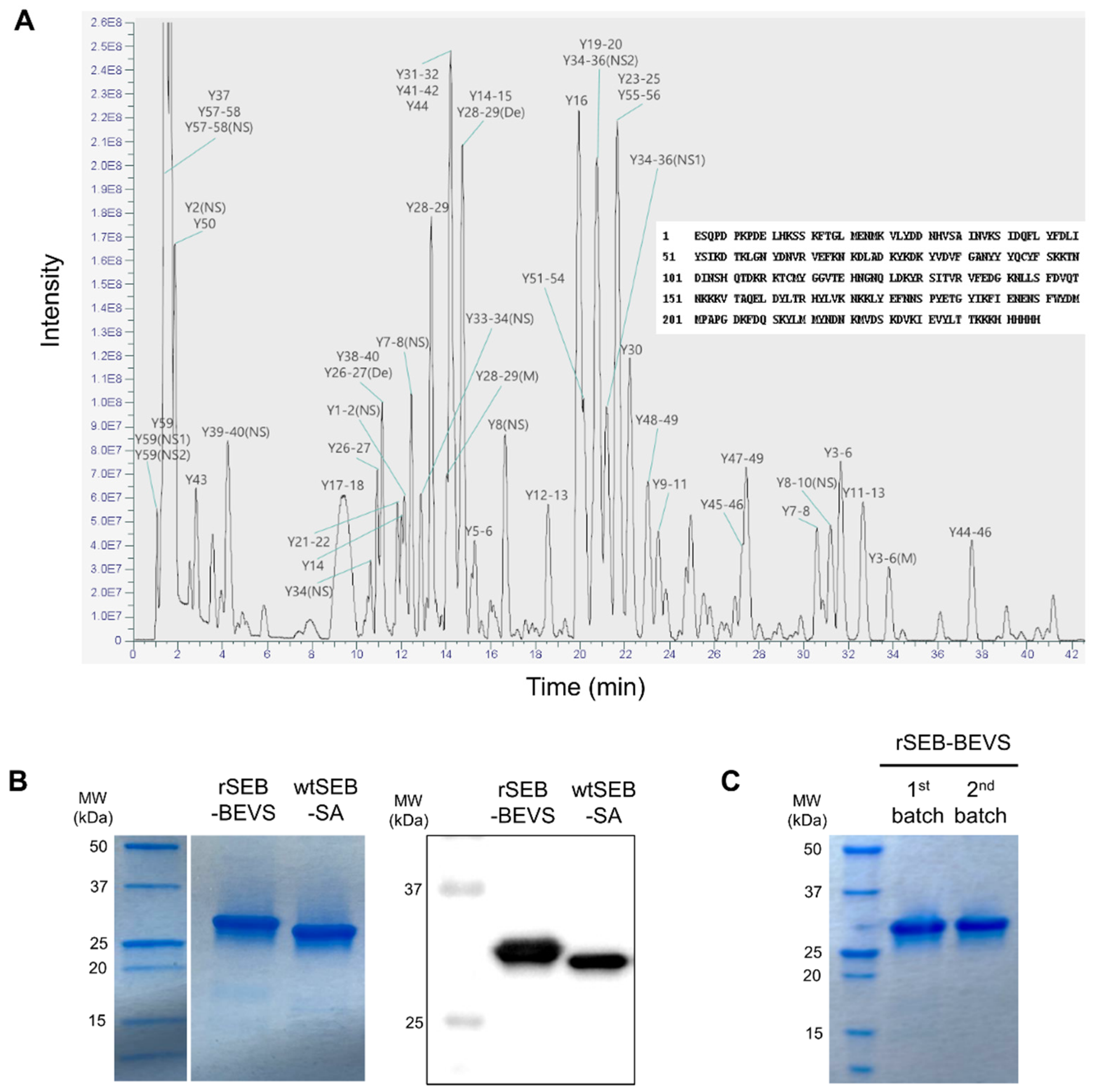 Biosensors 12 00787 g003 Biosensors 12 00787 g003