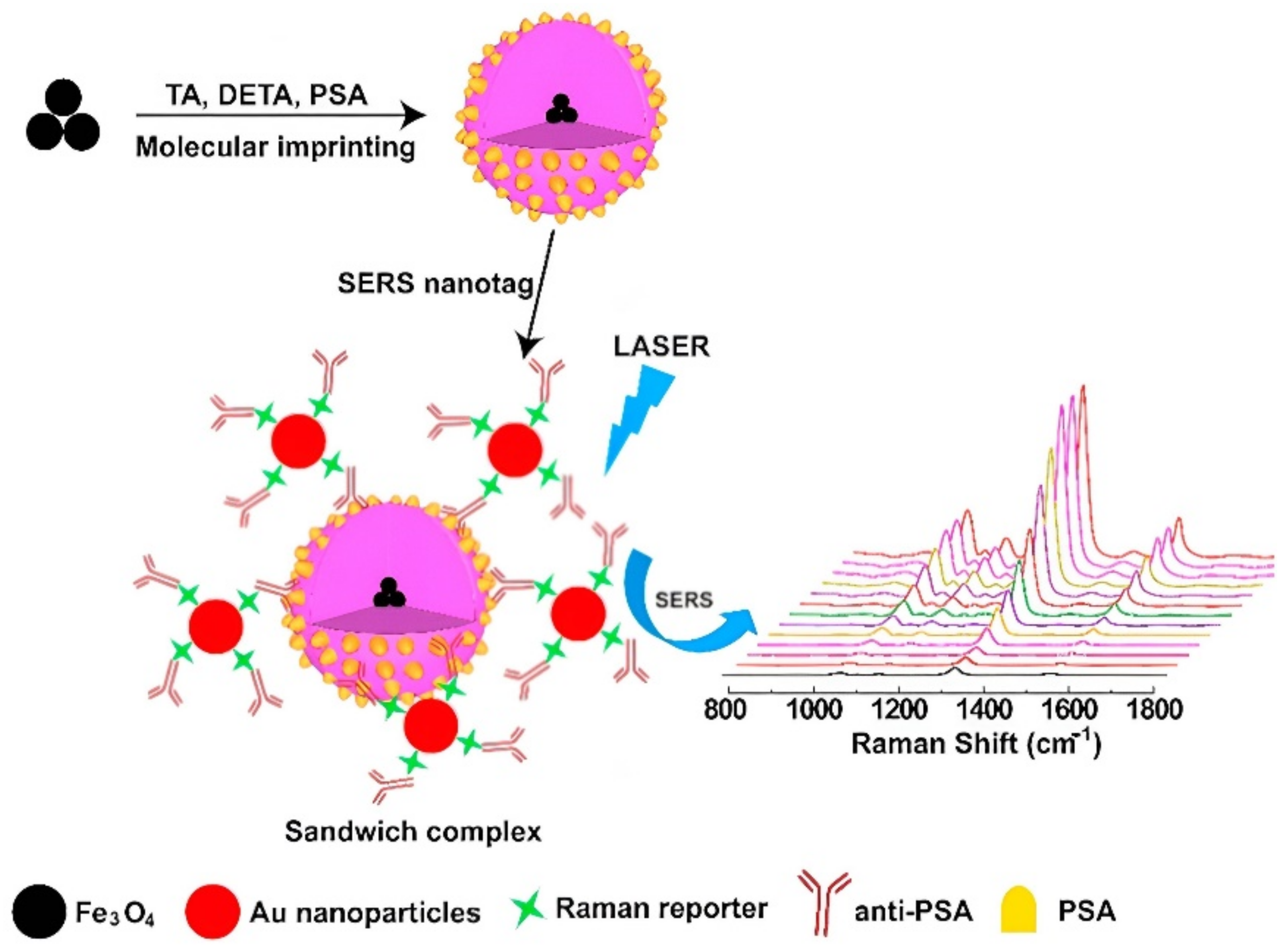 Biosensors 12 00789 g004 Biosensors 12 00789 g004