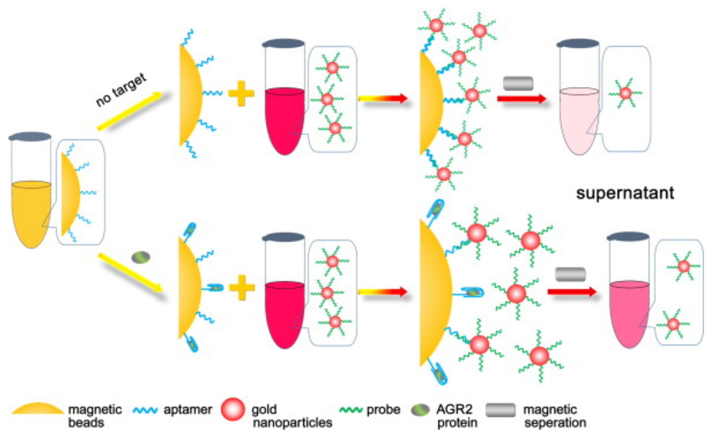Biosensors 12 00789 g005 Biosensors 12 00789 g005