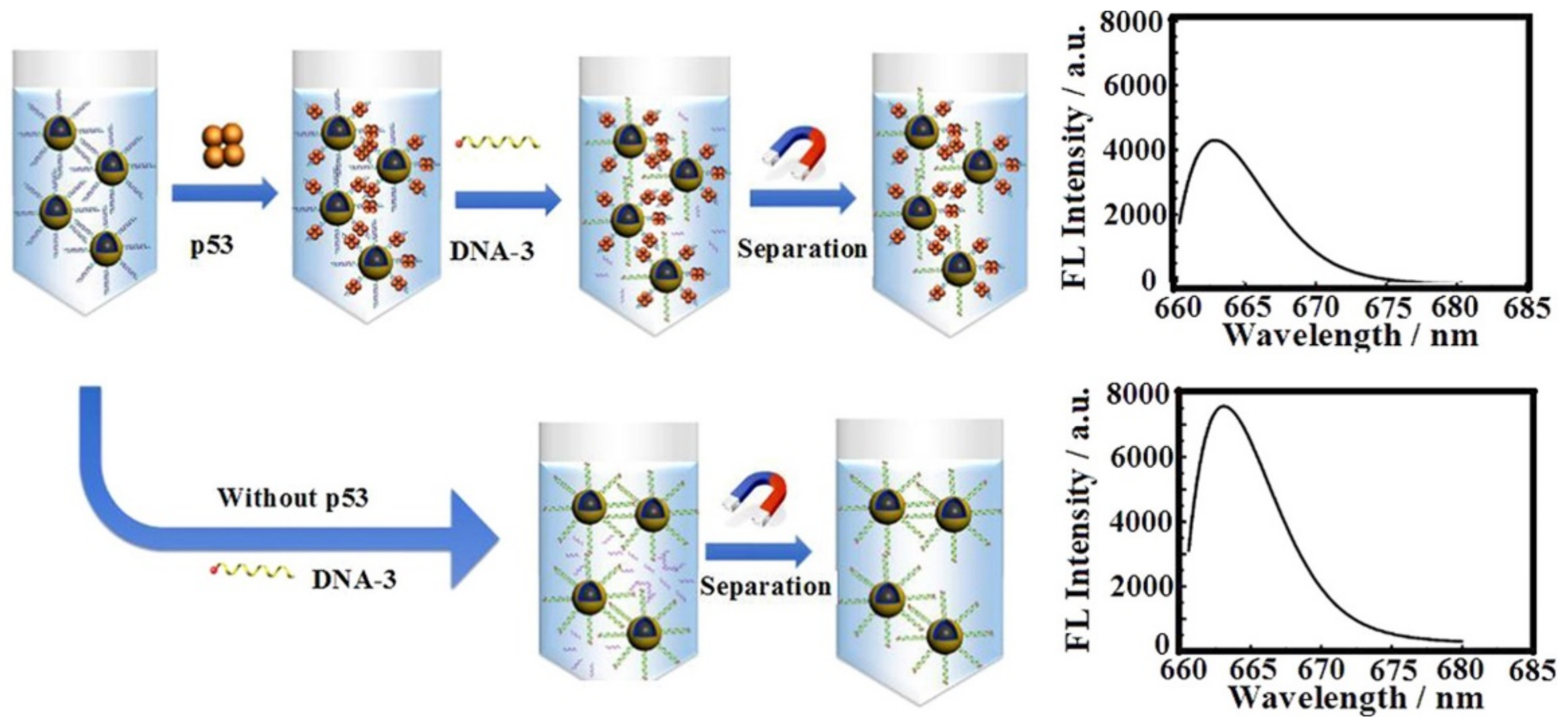 Biosensors 12 00789 g006 Biosensors 12 00789 g006