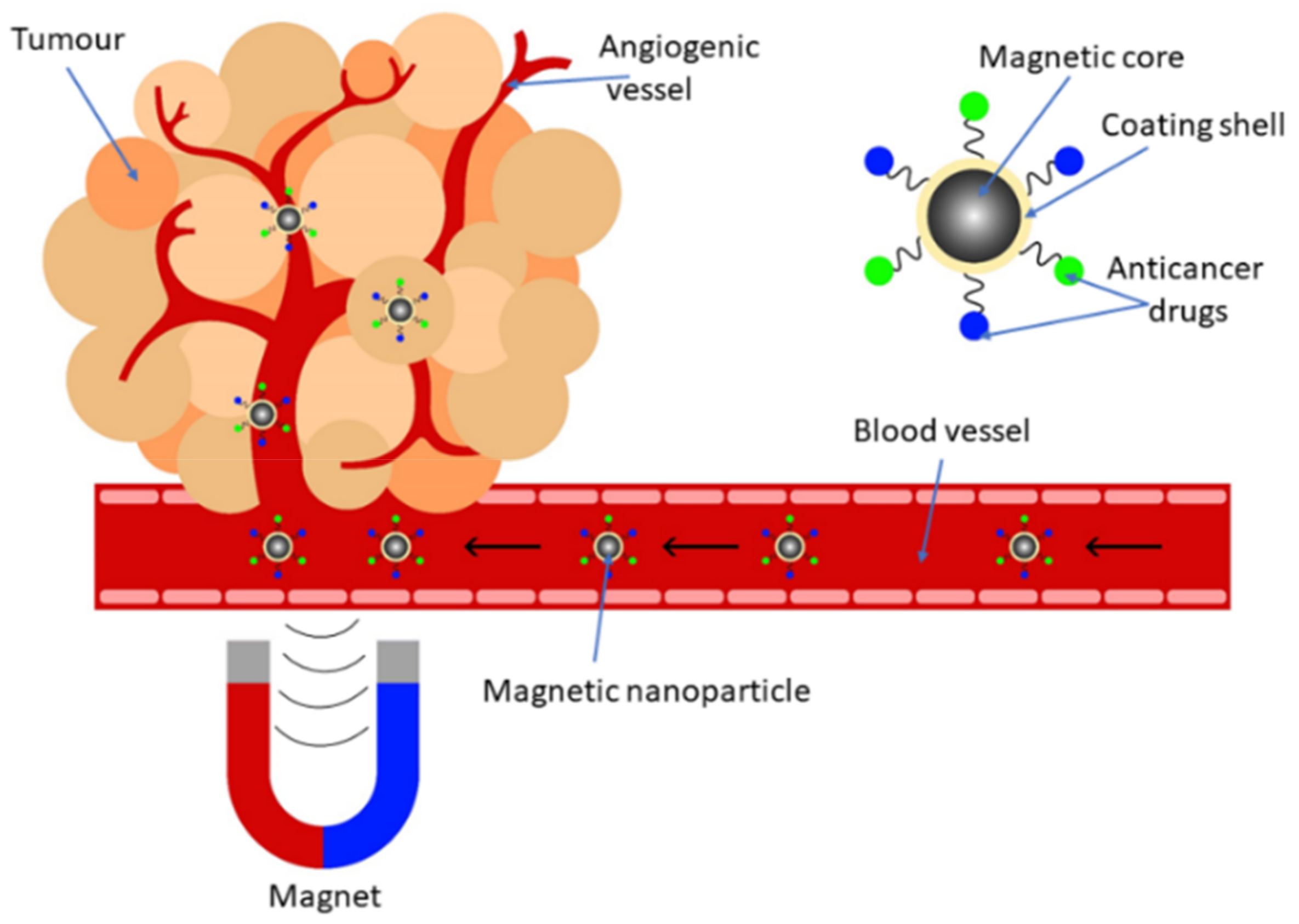 Biosensors 12 00789 g009 Biosensors 12 00789 g009