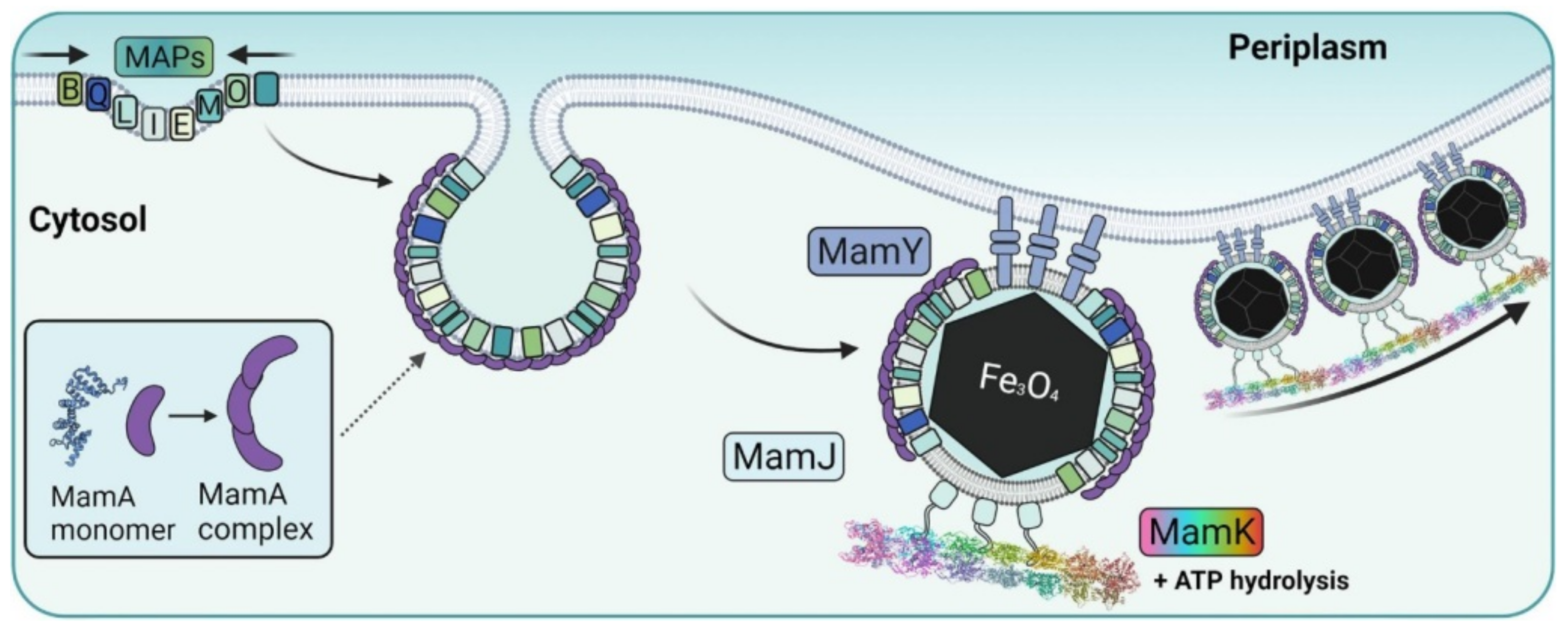 Biosensors 12 00789 g016 Biosensors 12 00789 g016