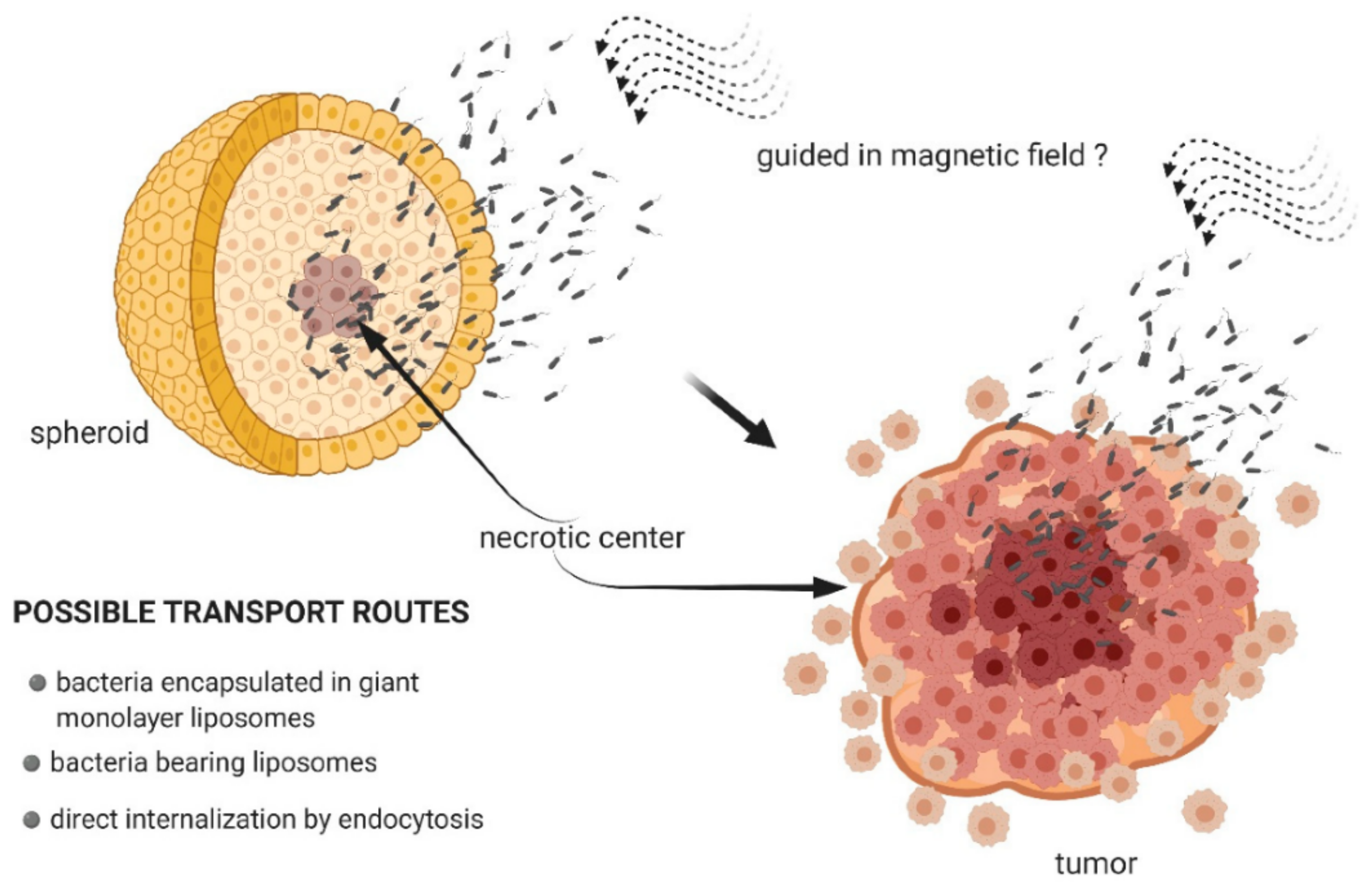 Biosensors 12 00789 g022 Biosensors 12 00789 g022
