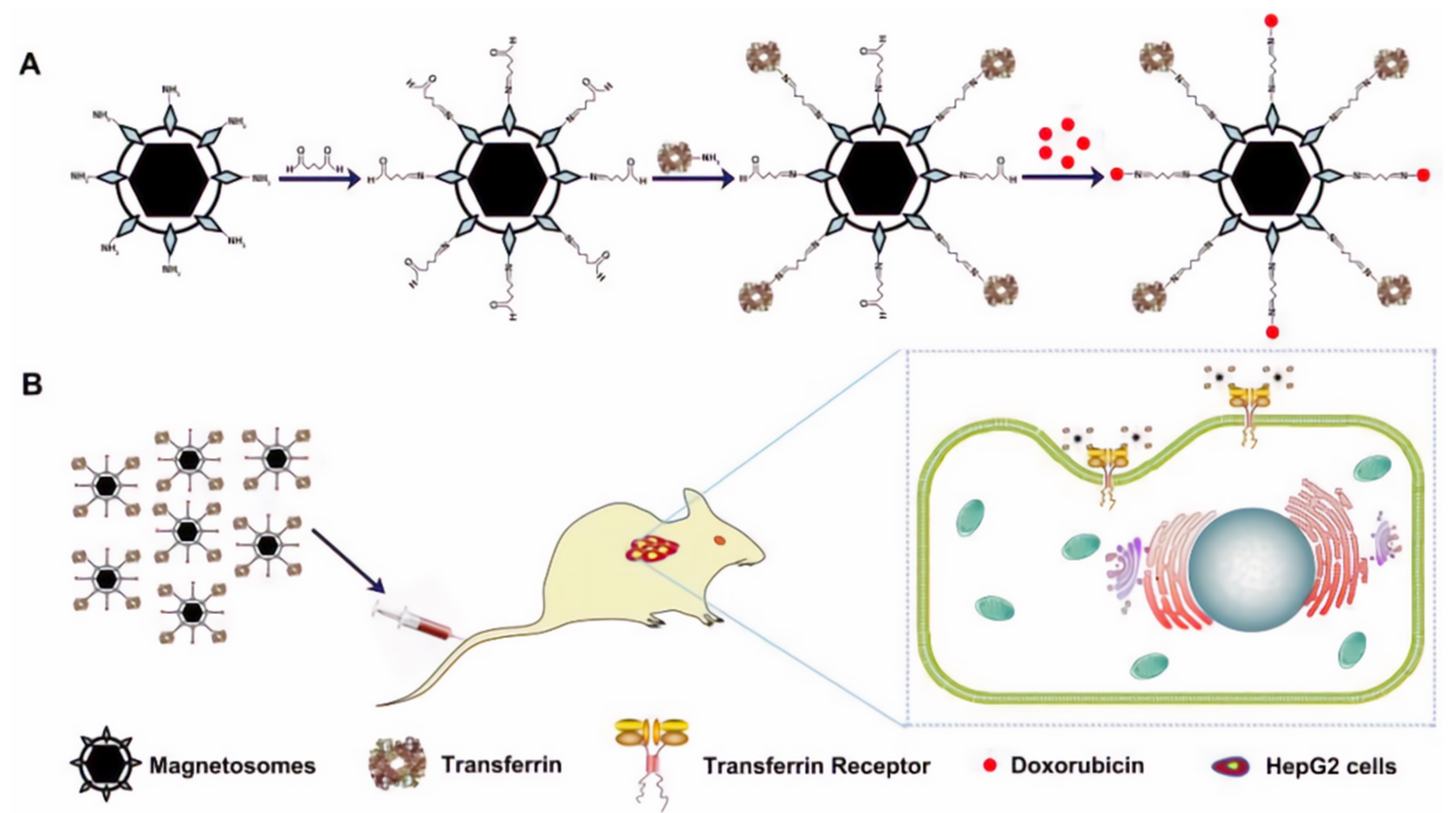 Biosensors 12 00789 g023 Biosensors 12 00789 g023