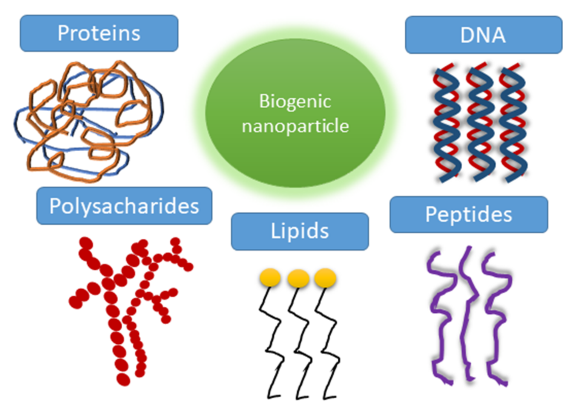 Biosensors 12 00789 g024 Biosensors 12 00789 g024