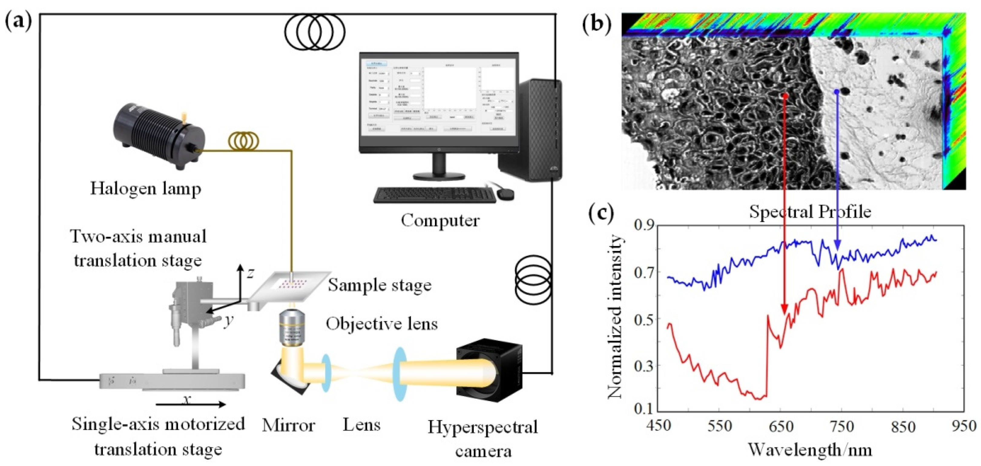 Biosensors 12 00790 g001 550
