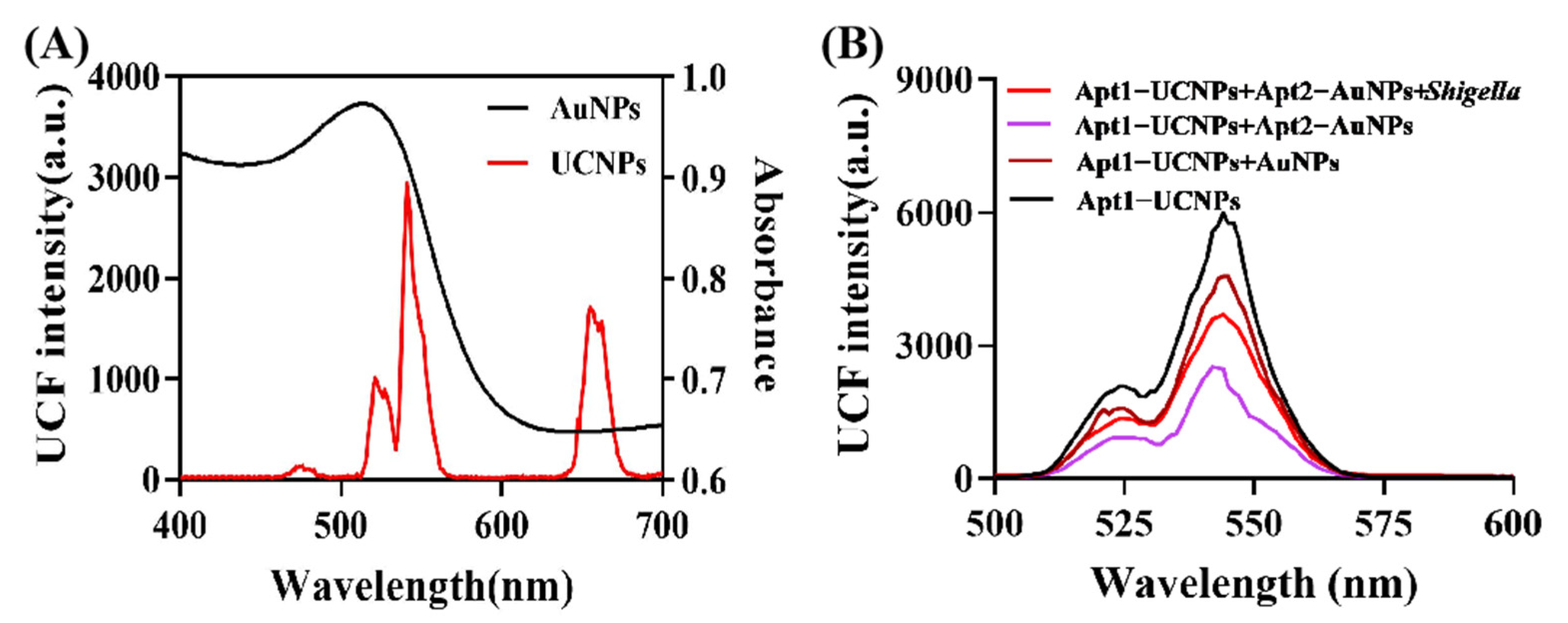 Biosensors 12 00795 g003 550