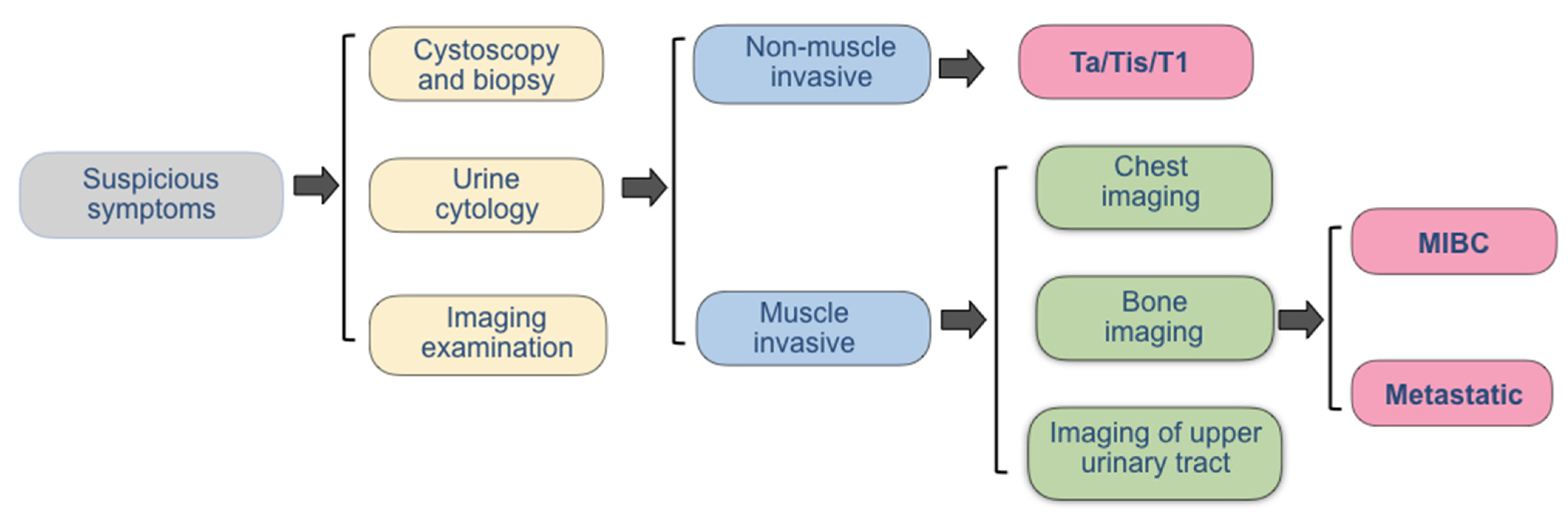 Biosensors 12 00796 g002 Biosensors 12 00796 g002