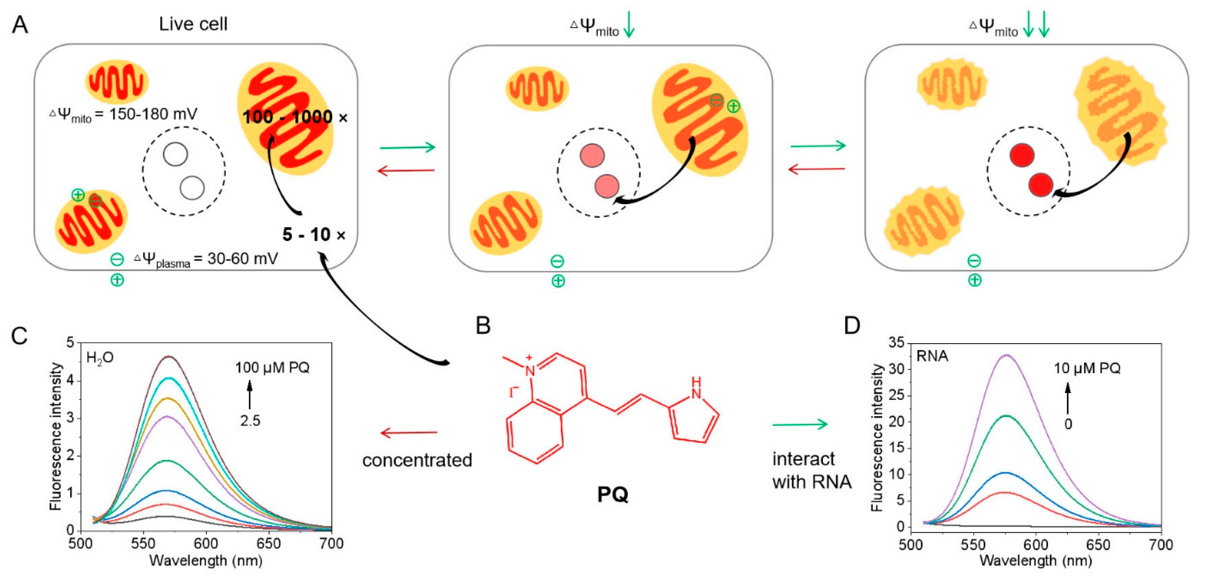 Biosensors 12 00798 g001 Biosensors 12 00798 g001
