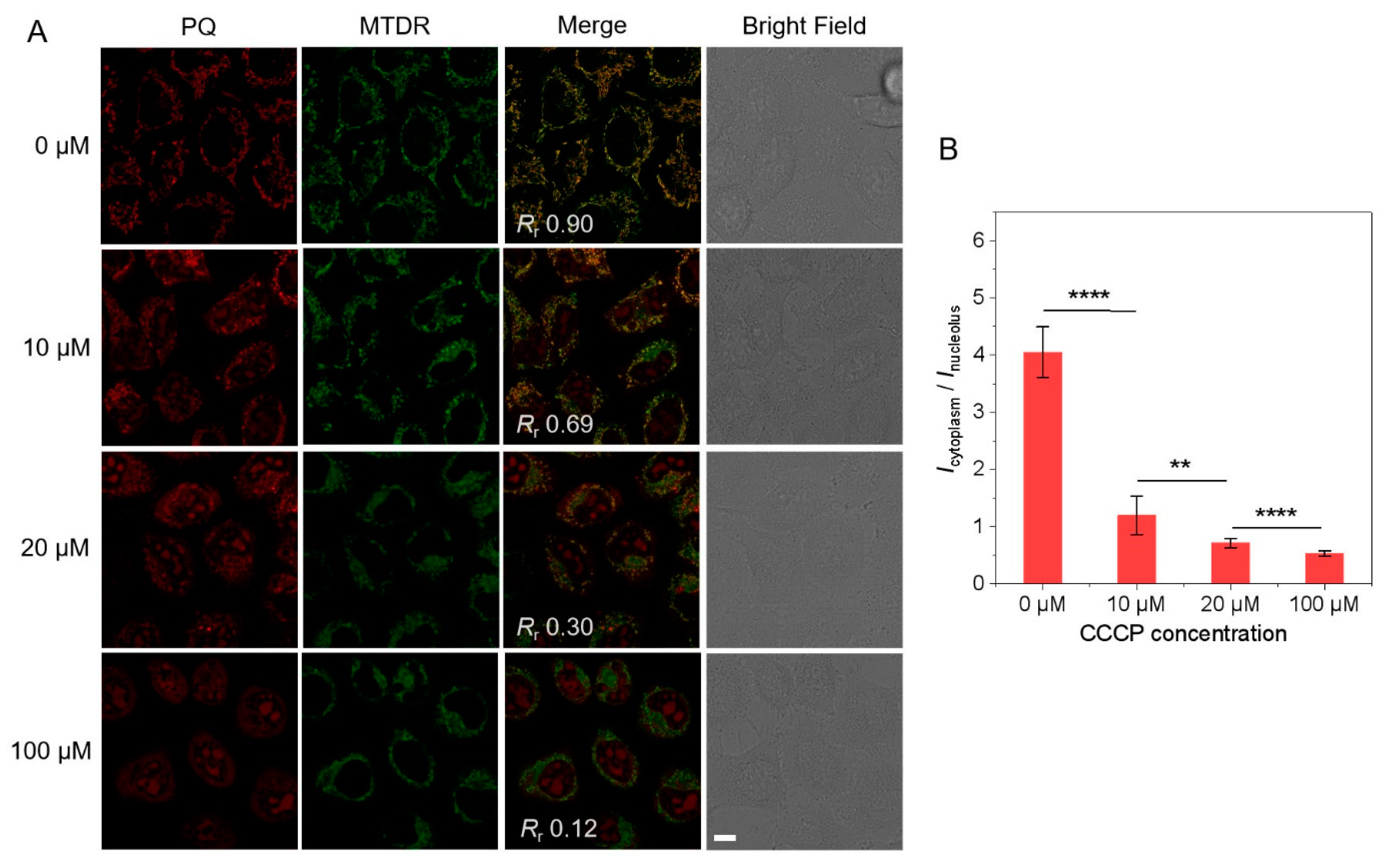 Biosensors 12 00798 g002 Biosensors 12 00798 g002