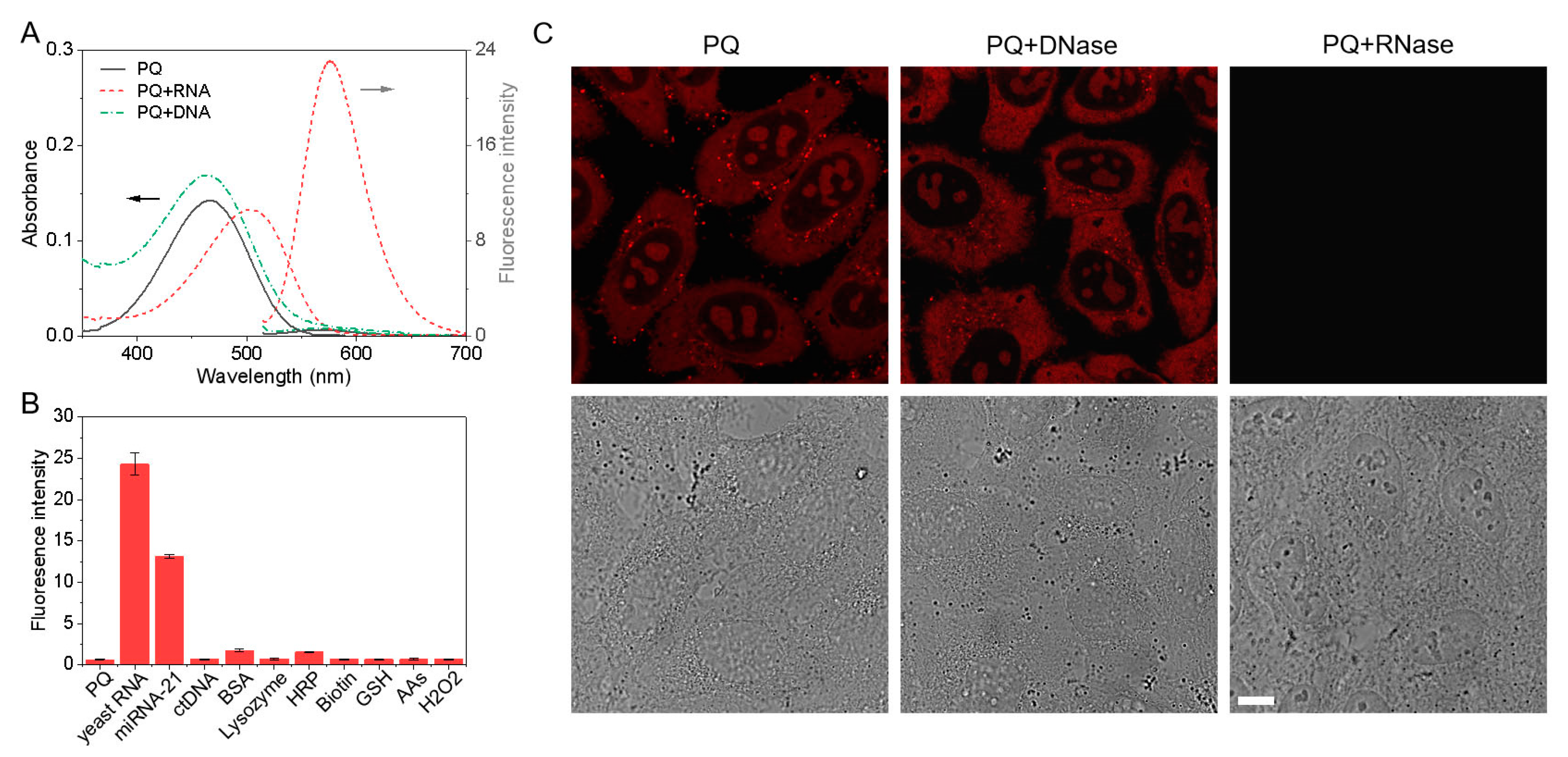 Biosensors 12 00798 g003 Biosensors 12 00798 g003