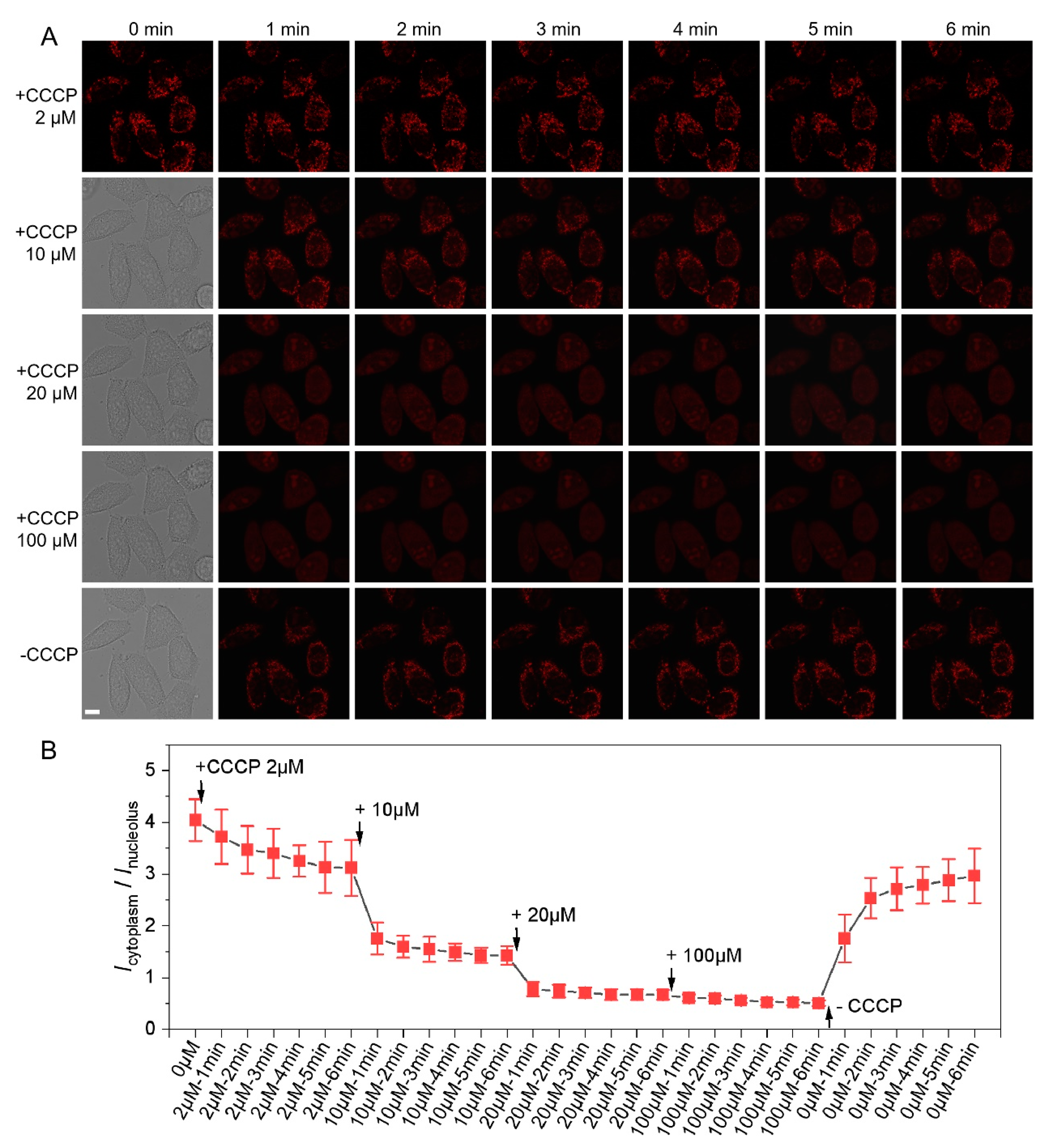 Biosensors 12 00798 g004 Biosensors 12 00798 g004