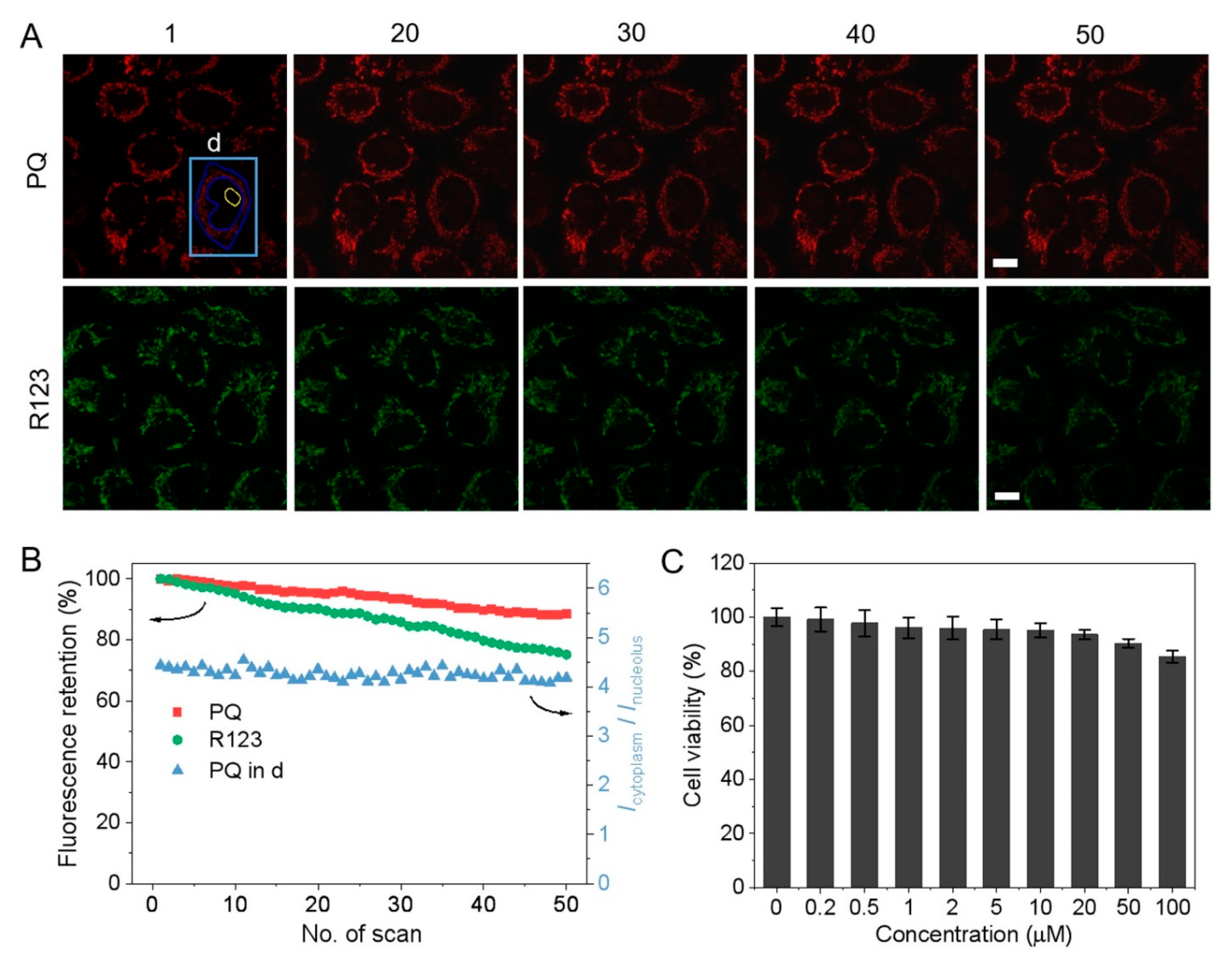 Biosensors 12 00798 g005 Biosensors 12 00798 g005
