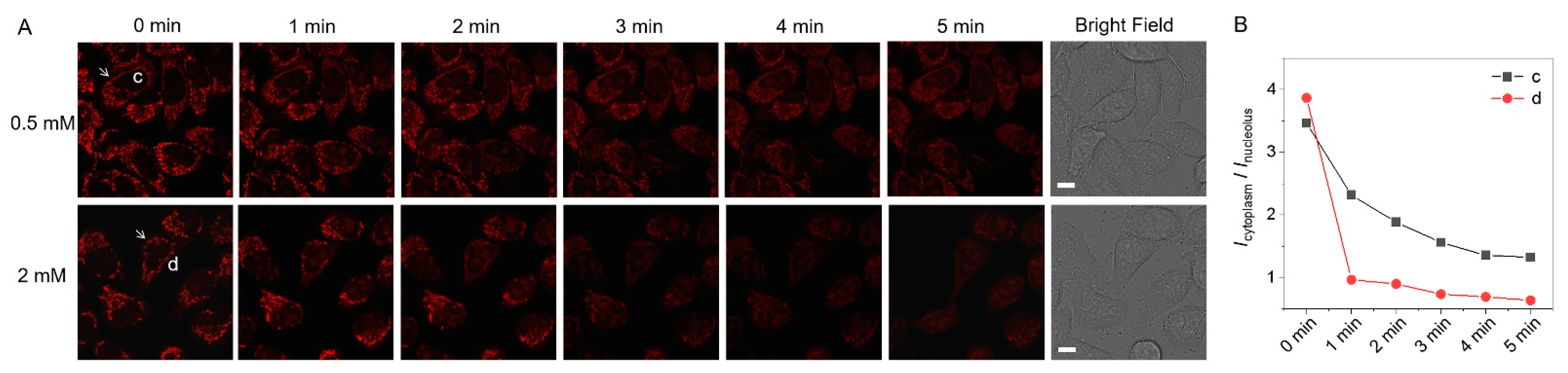 Biosensors 12 00798 g006 Biosensors 12 00798 g006