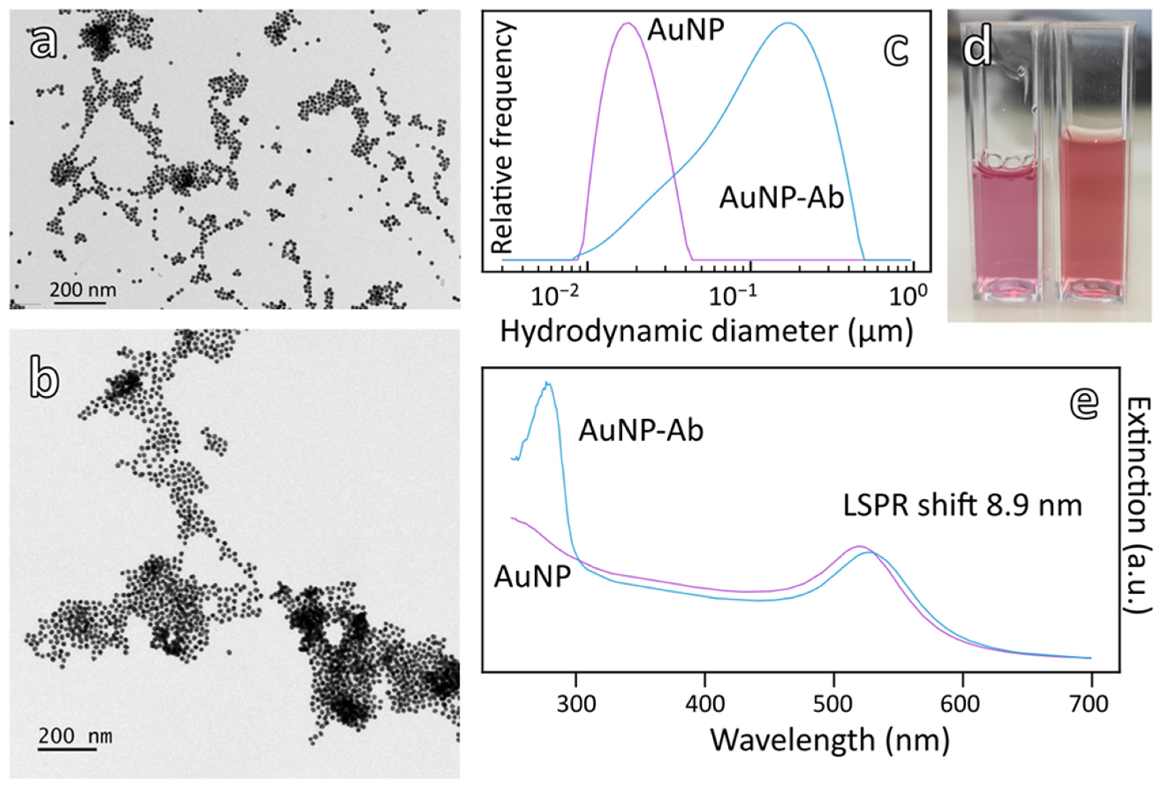 Biosensors 12 00799 g001 550