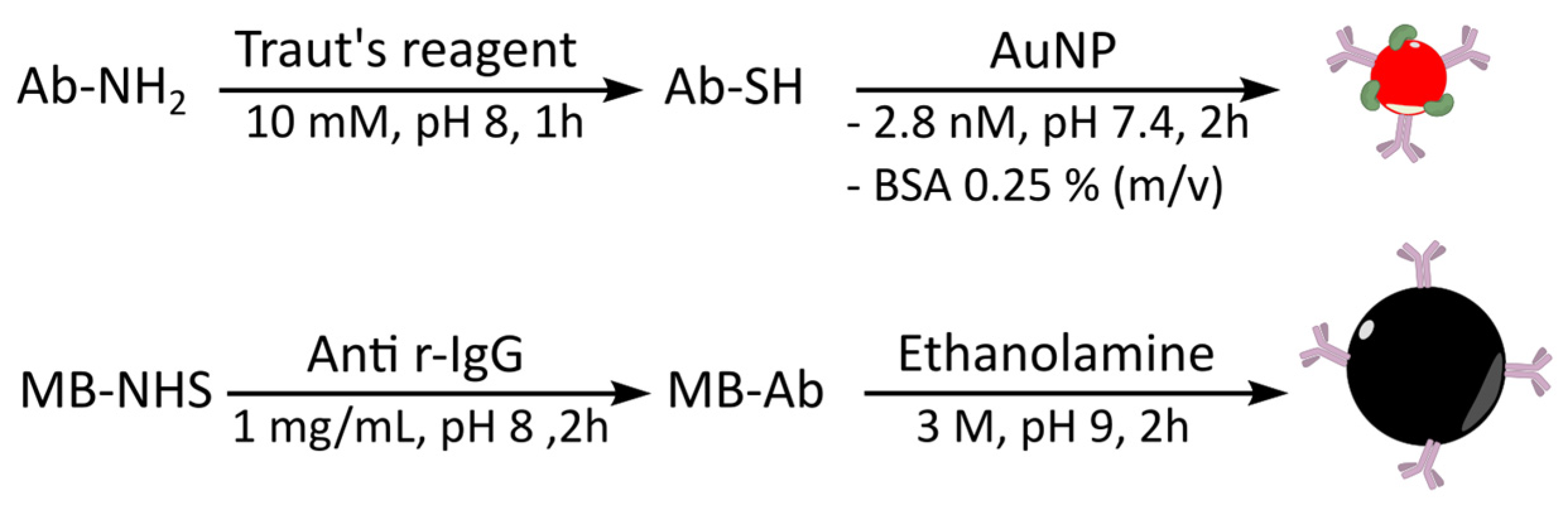 Biosensors 12 00799 g002 550