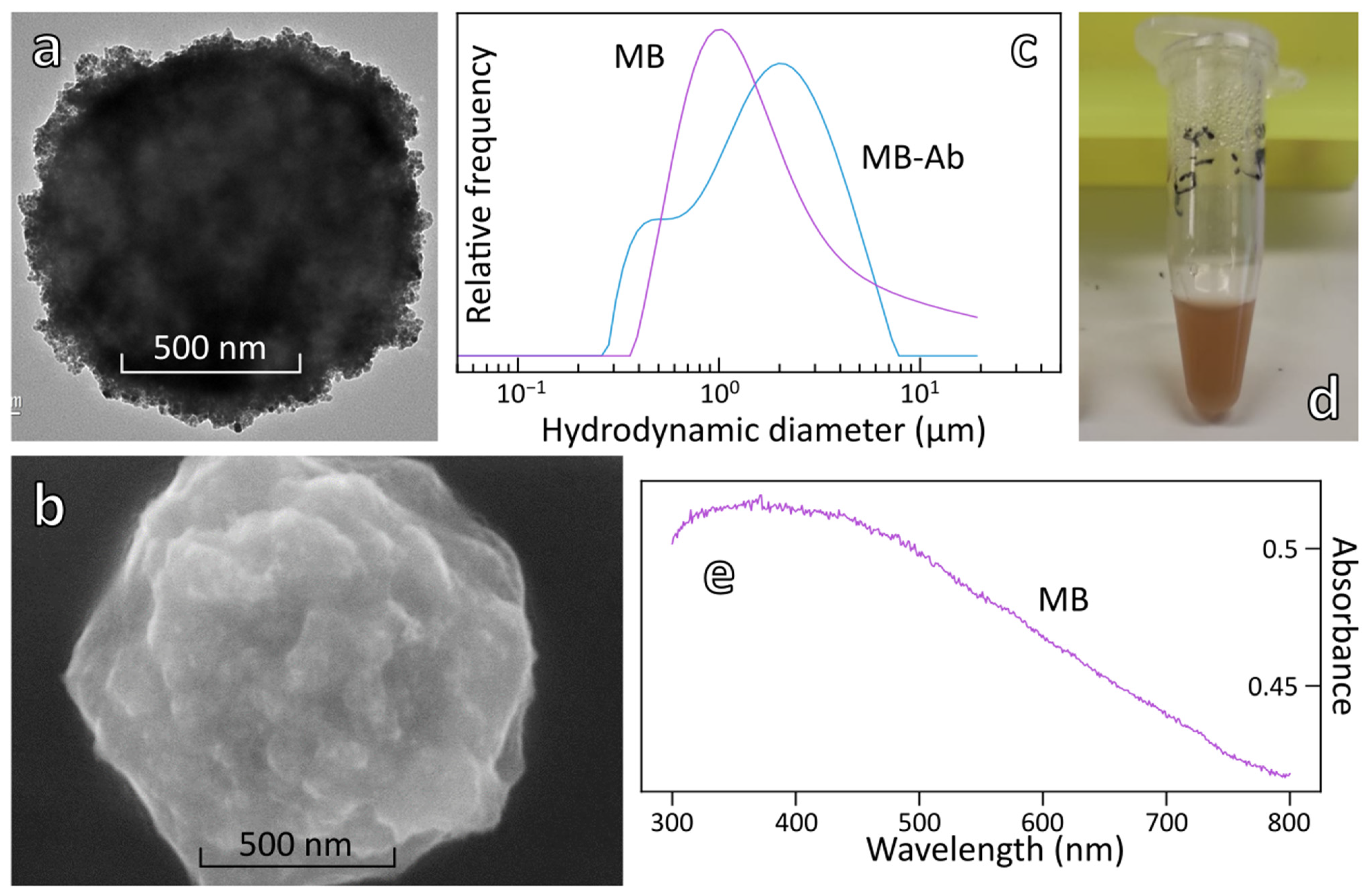 Biosensors 12 00799 g003 550