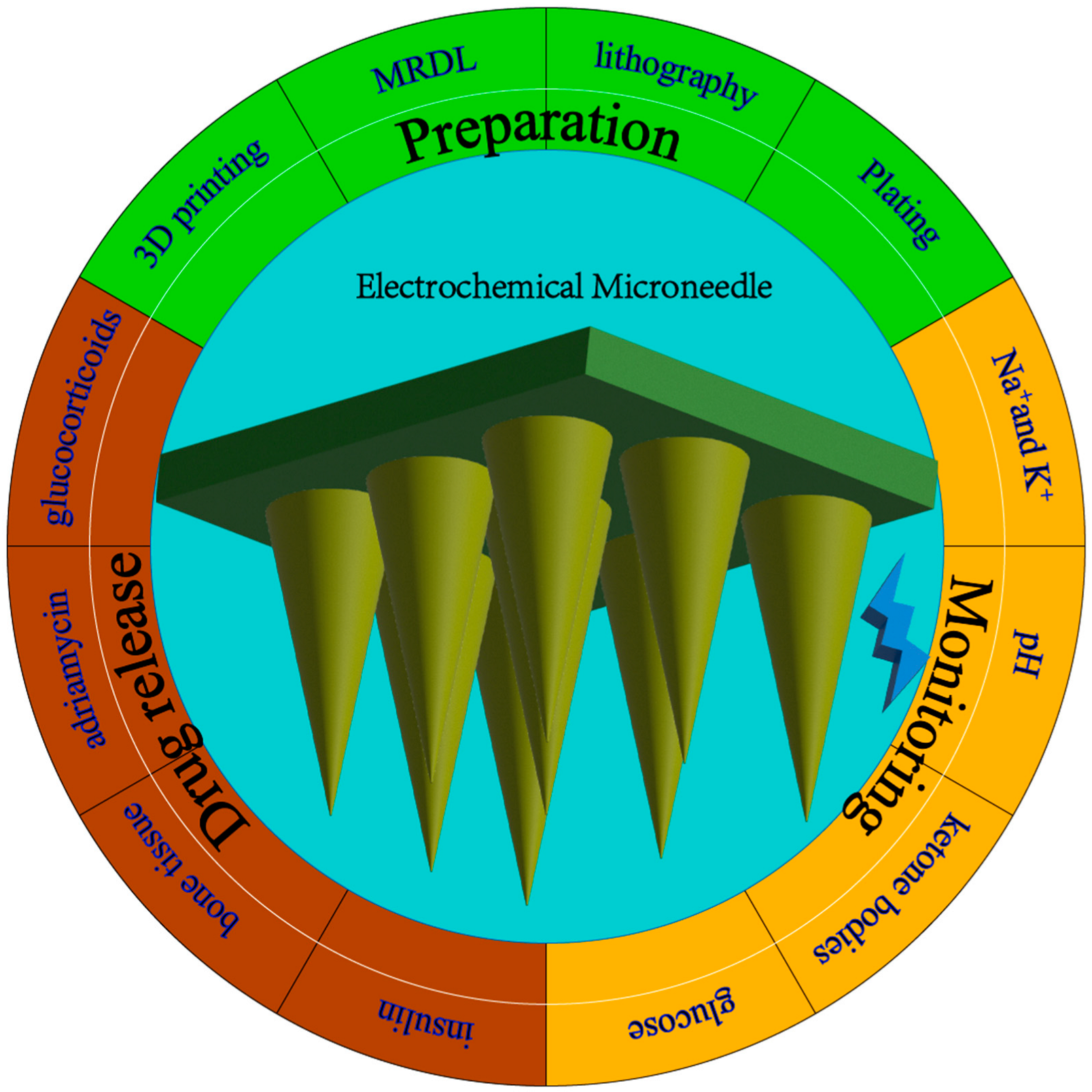 Biosensors 12 00801 g001