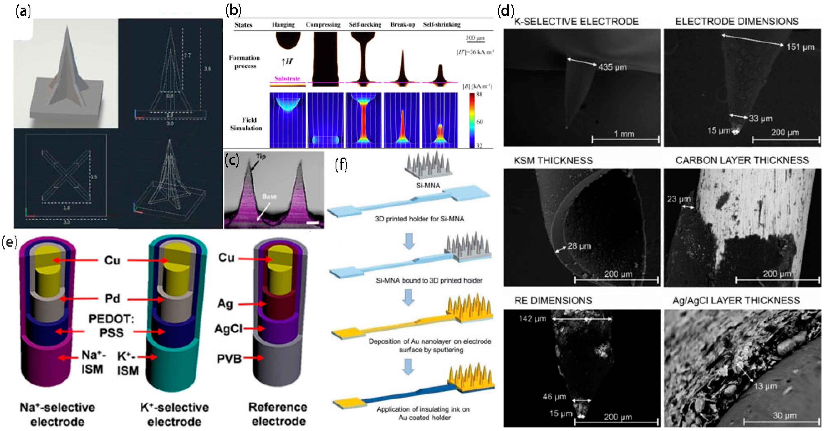 Biosensors 12 00801 g002