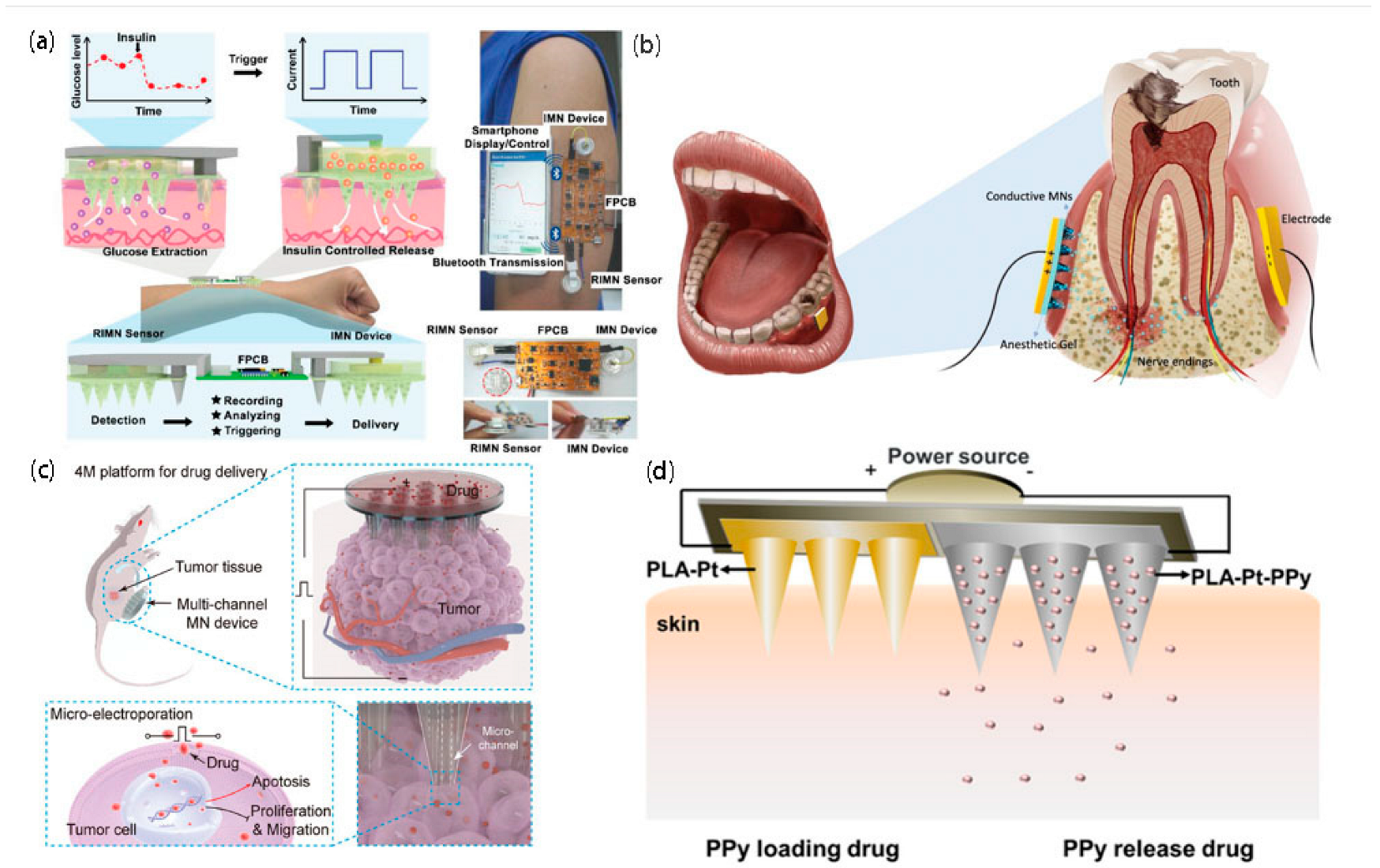 Biosensors 12 00801 g005