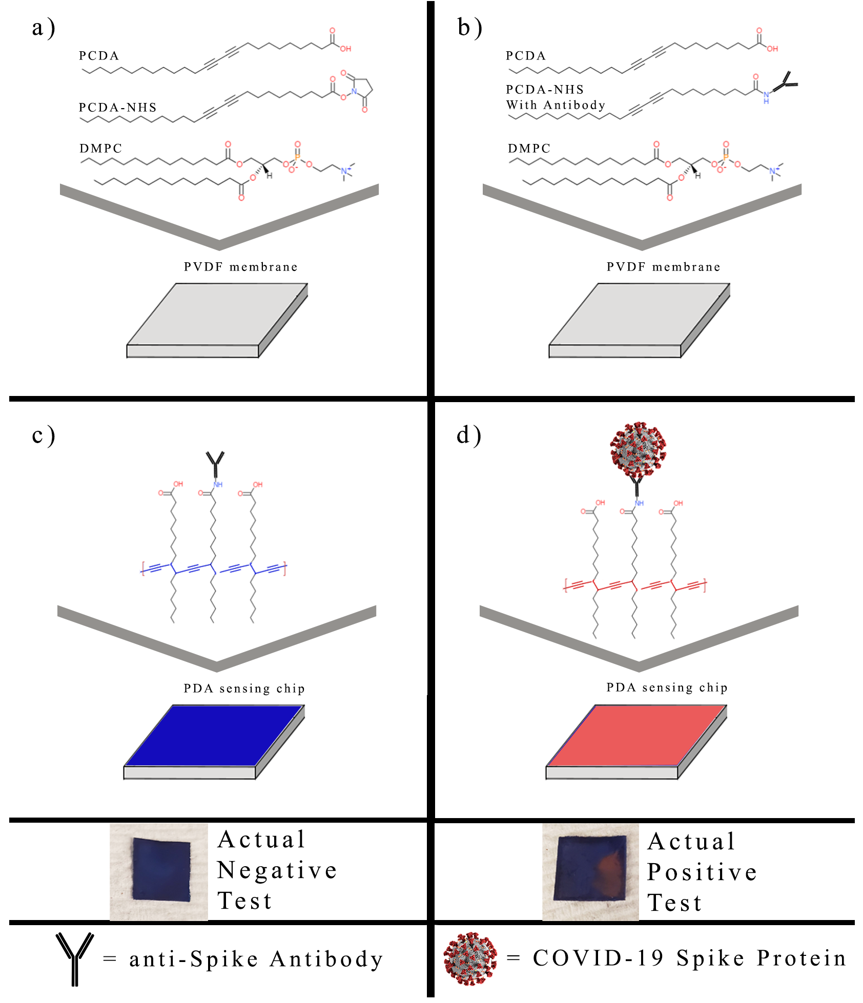 Biosensors 12 00804 g001 550