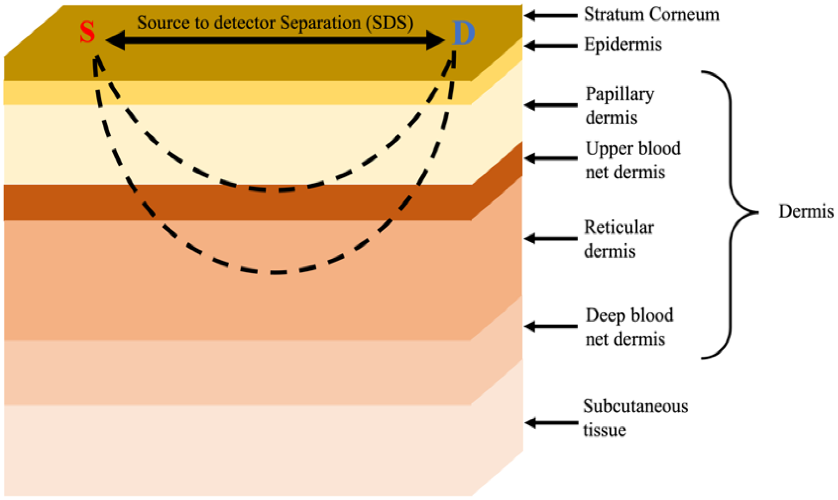 Biosensors 12 00805 g001 Biosensors 12 00805 g001