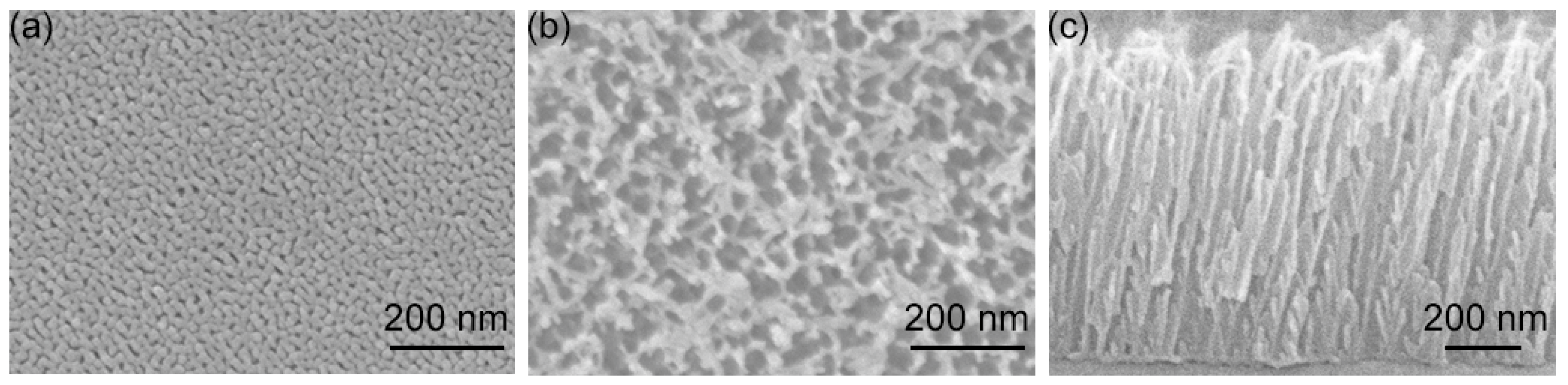Biosensors 12 00807 g001 Biosensors 12 00807 g001