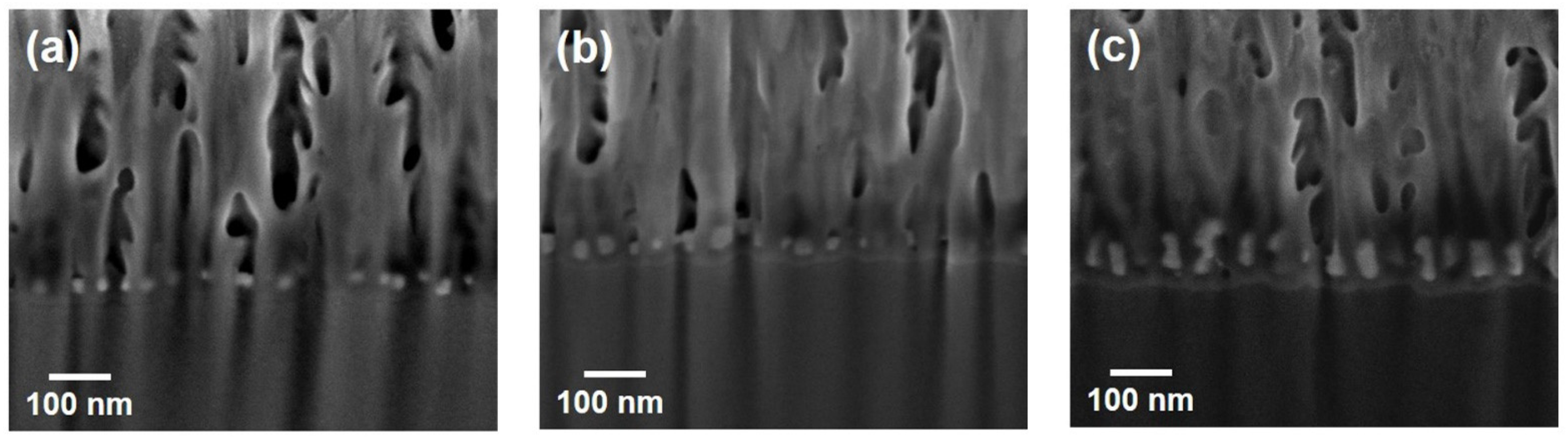 Biosensors 12 00807 g002 Biosensors 12 00807 g002