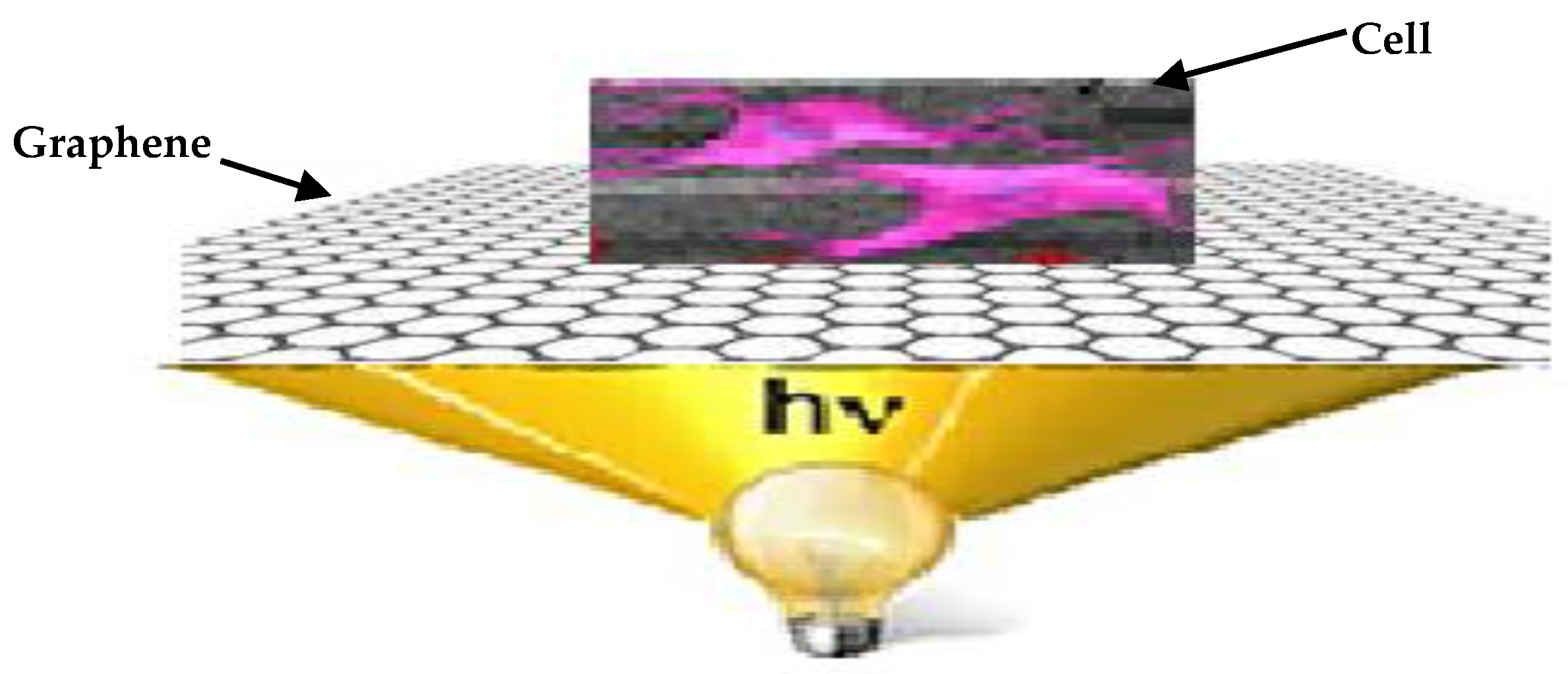 Biosensors 12 00808 g001 Biosensors 12 00808 g001