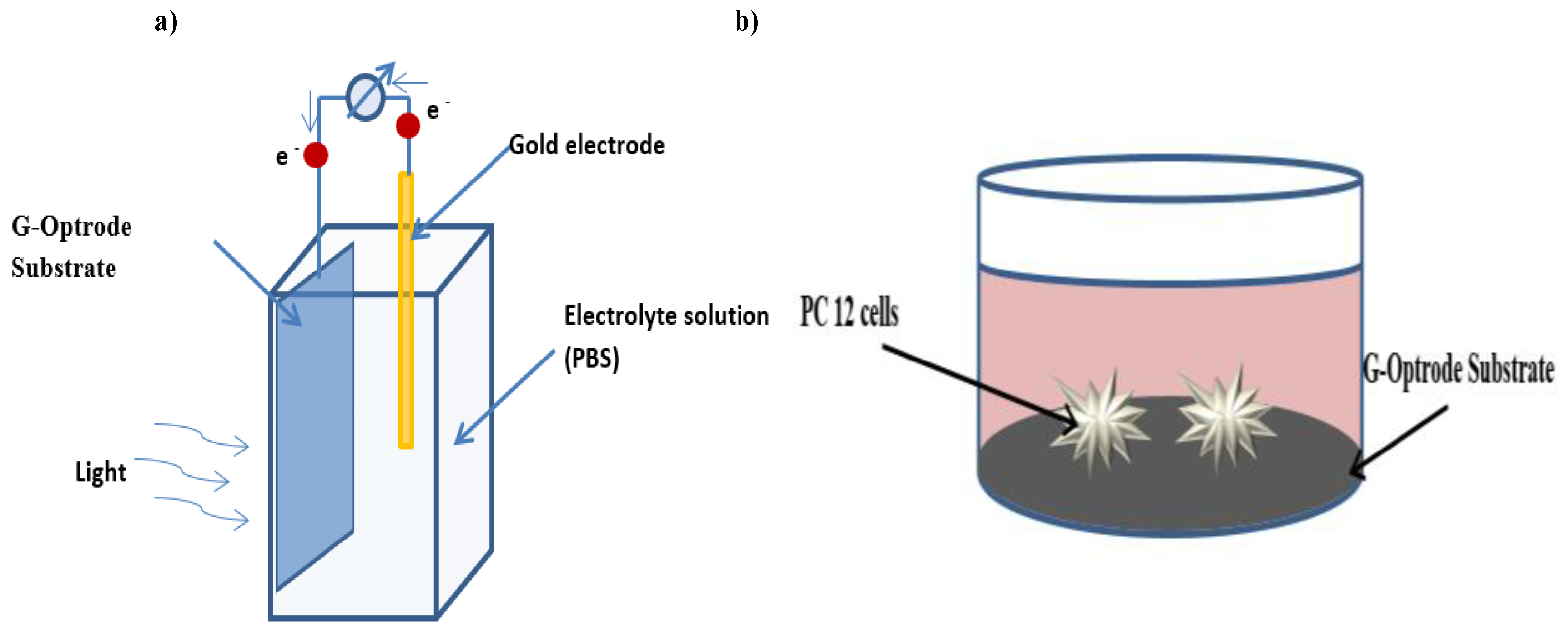 Biosensors 12 00808 g003 Biosensors 12 00808 g003