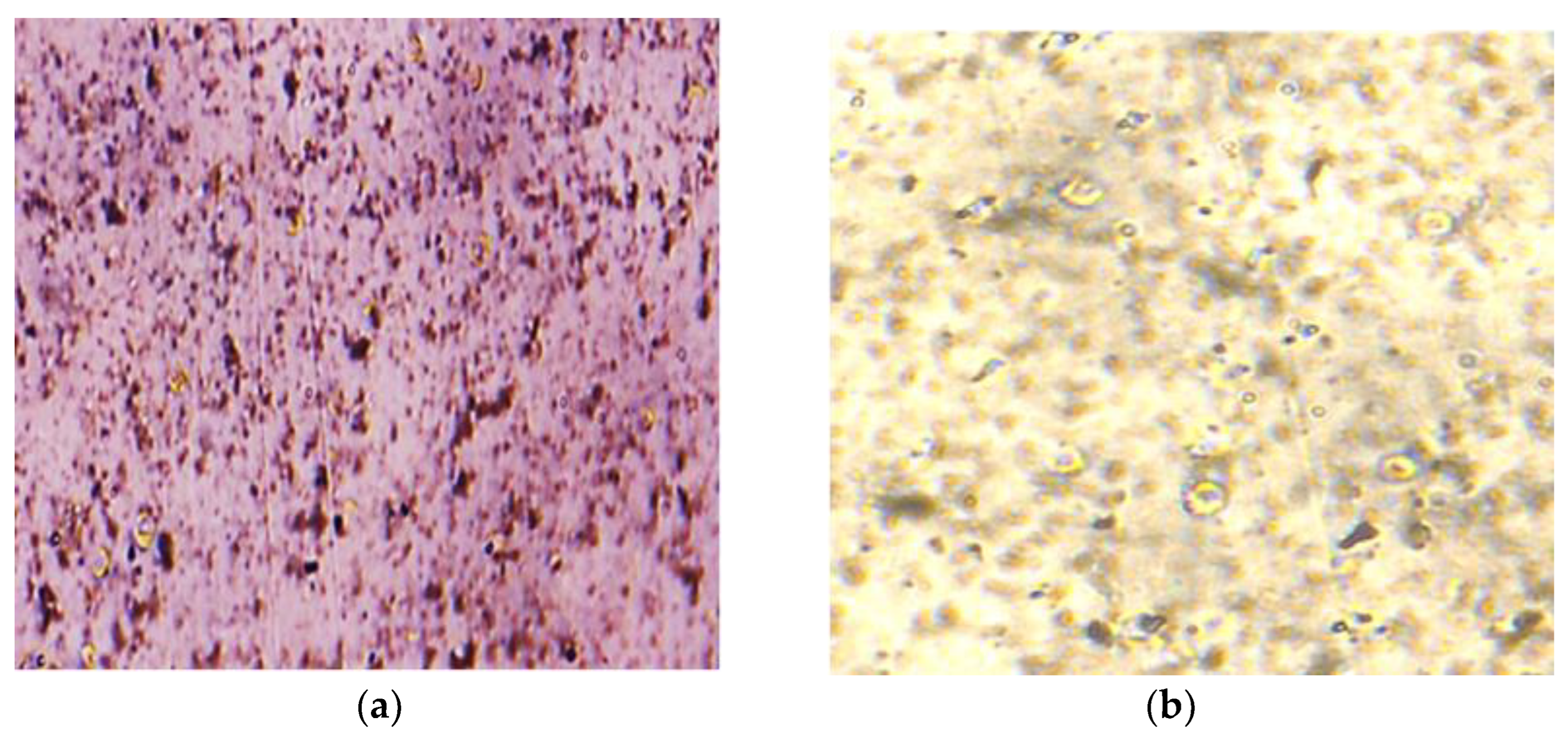 Biosensors 12 00808 g009 Biosensors 12 00808 g009