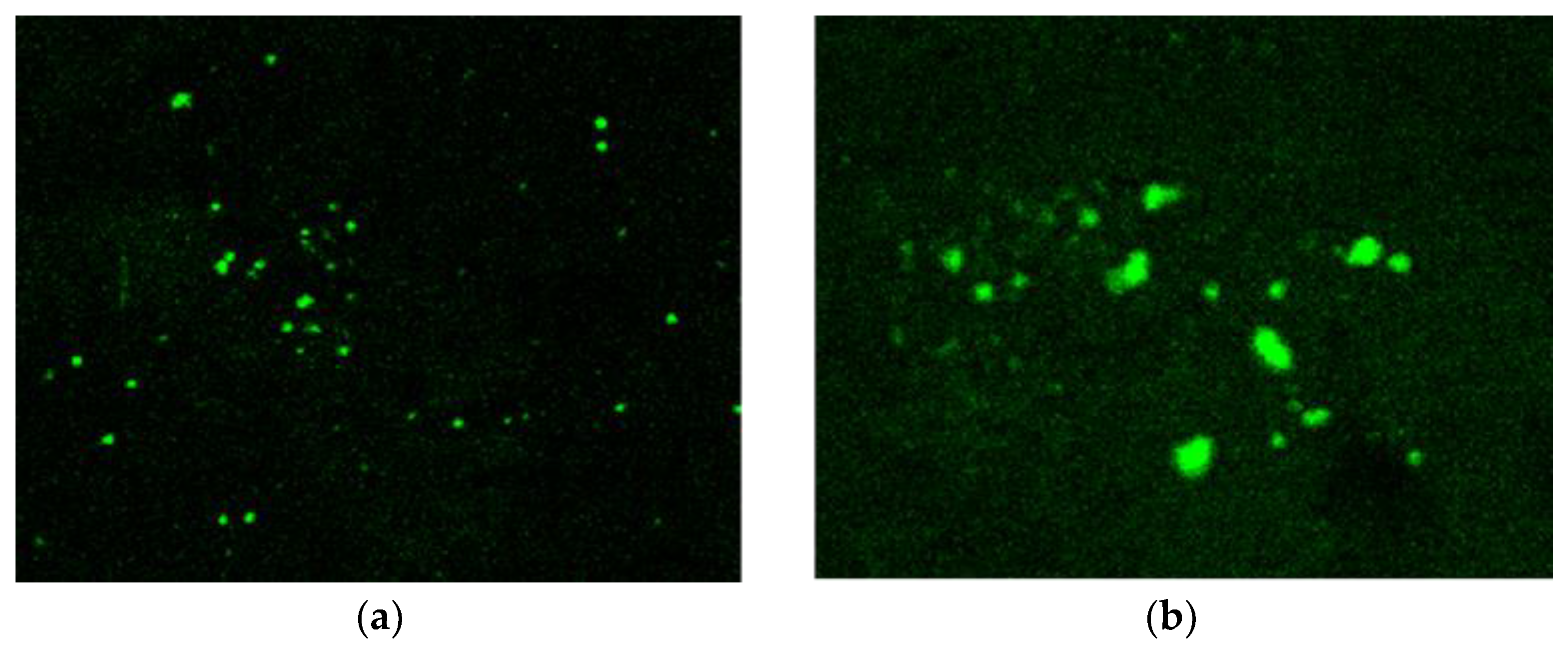 Biosensors 12 00808 g012 Biosensors 12 00808 g012