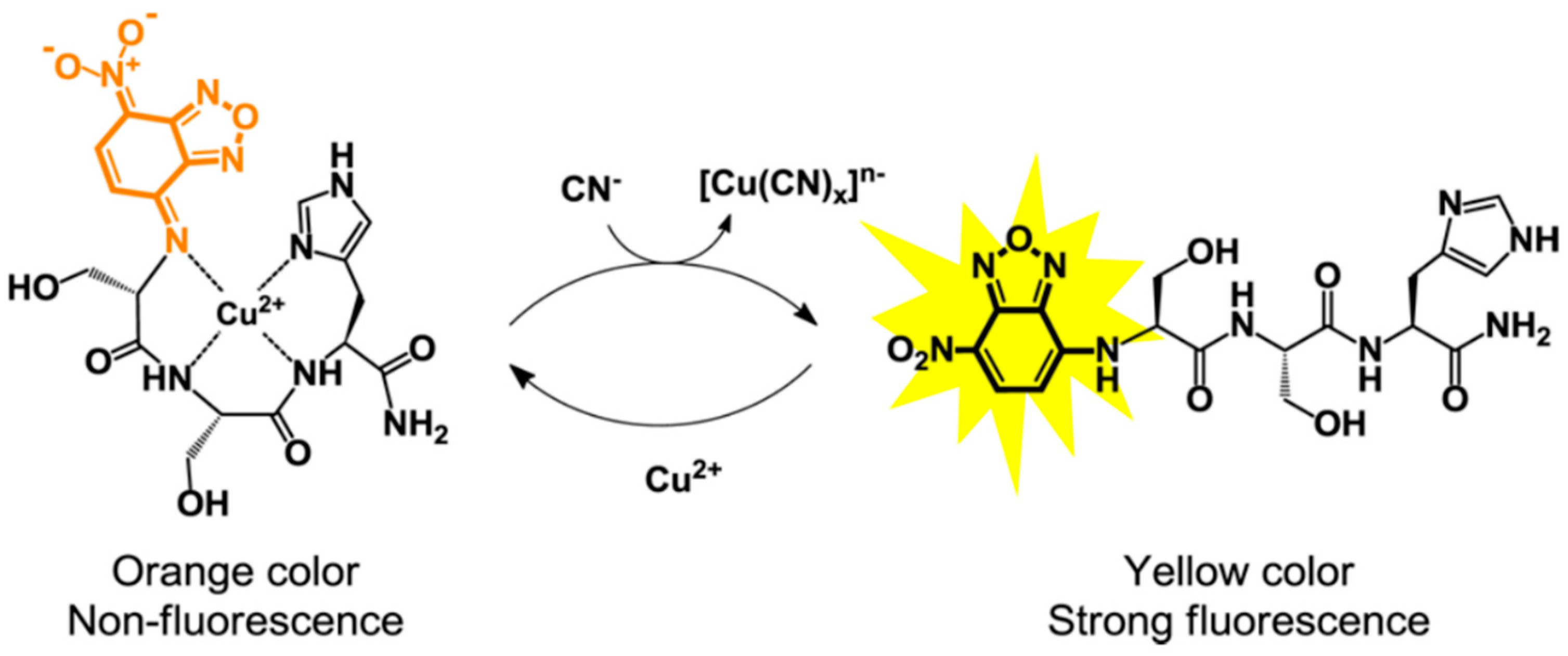 Biosensors 12 00809 g001