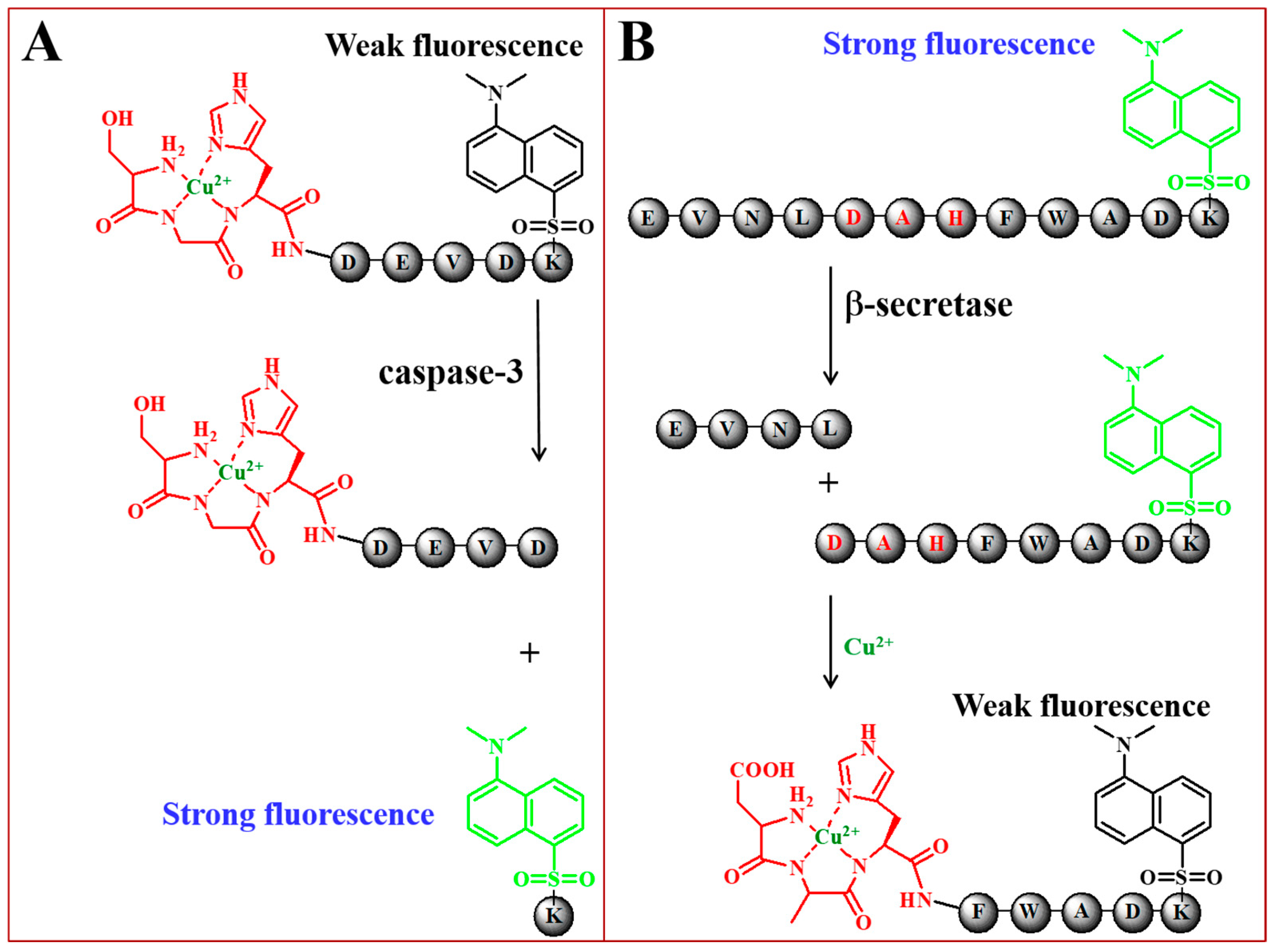 Biosensors 12 00809 g002