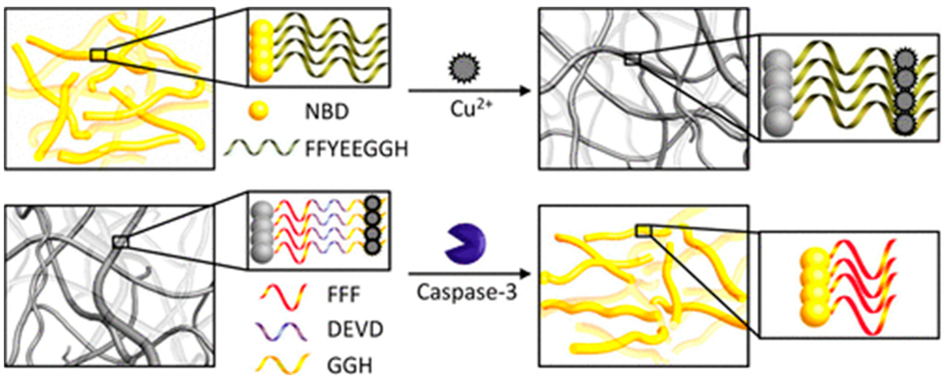 Biosensors 12 00809 g003